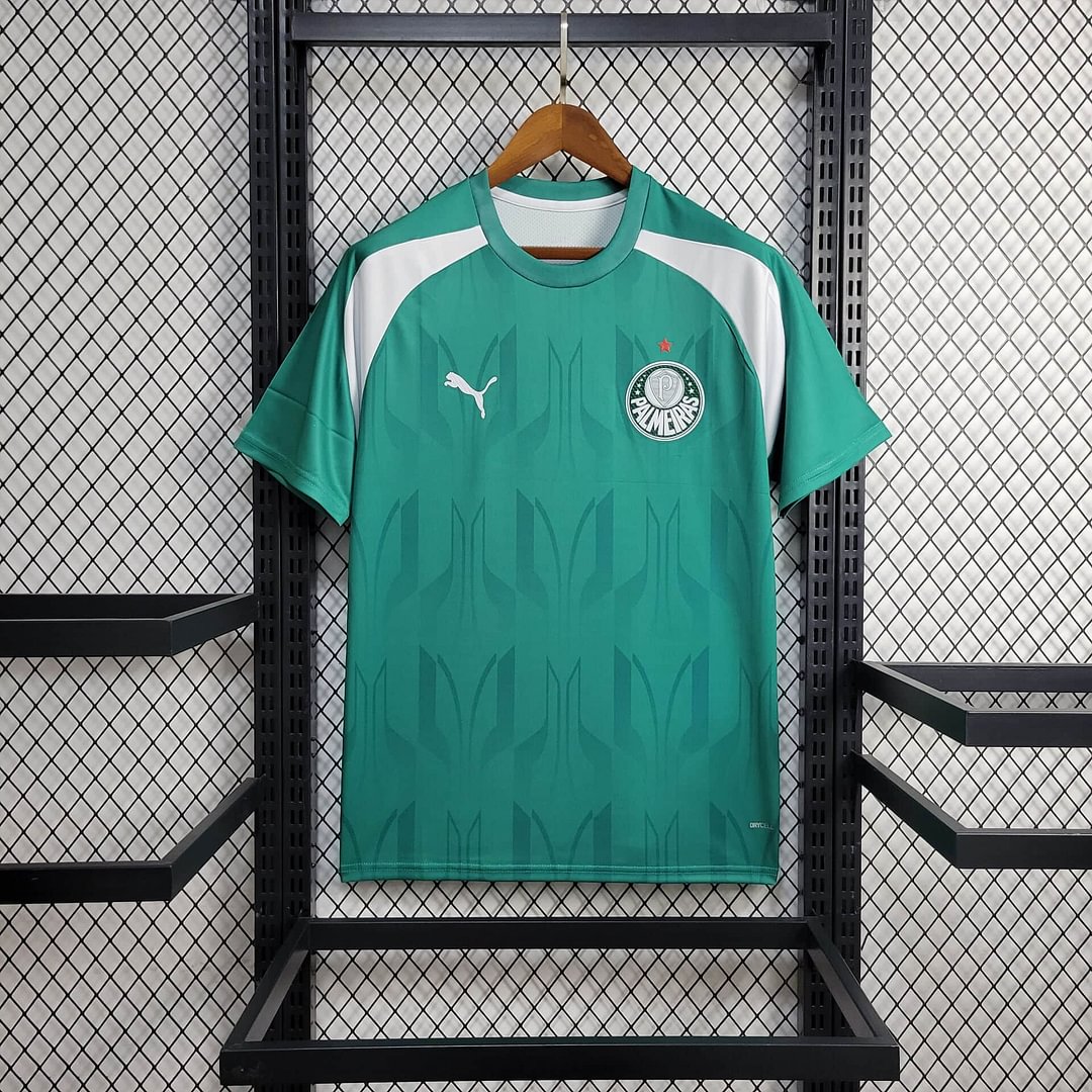 2024/2025 Palmeiras Training Wear Football Shirt( Fans Edition )