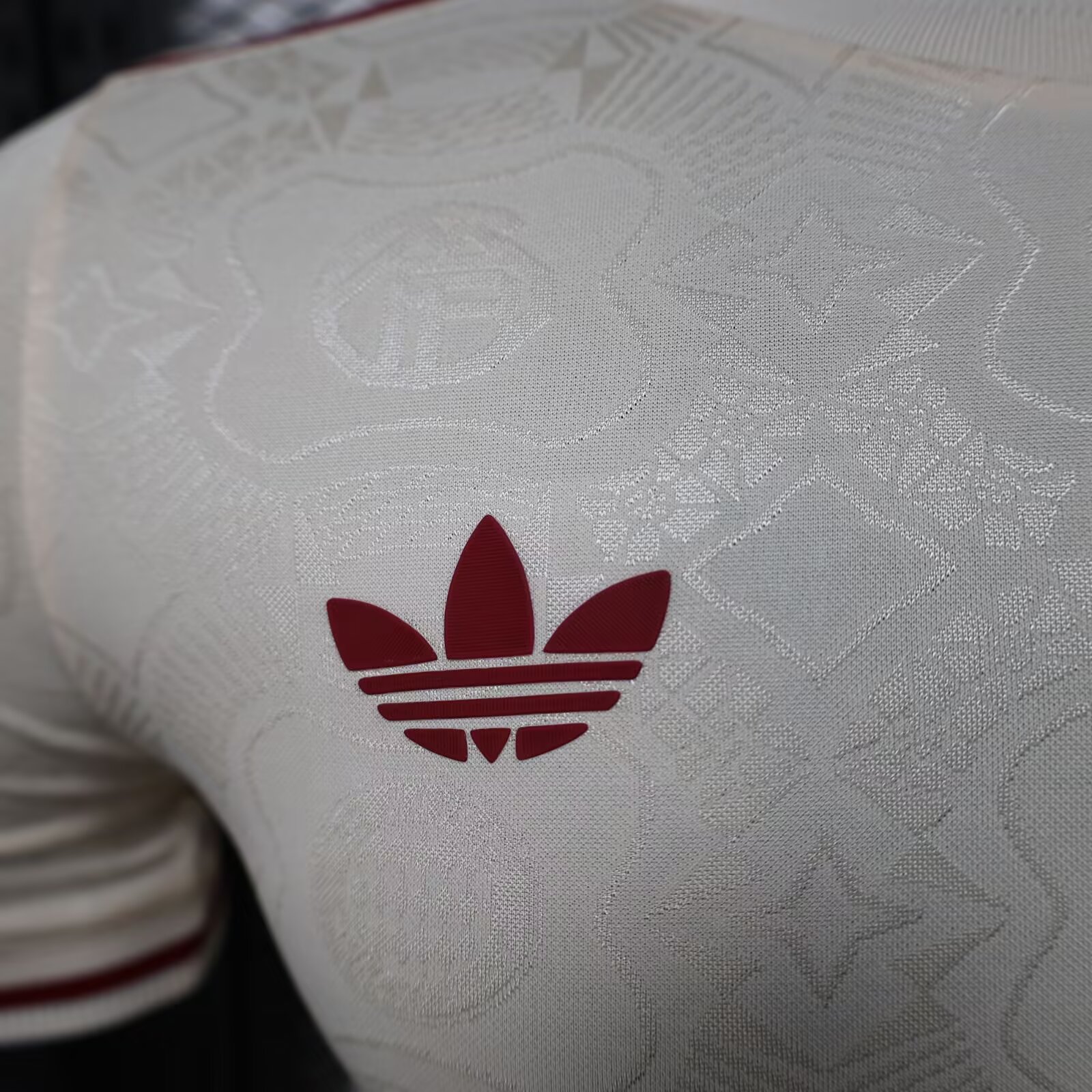 2025/2026 Bayern Munchen 125th Anniversary Shirt (Player Version)