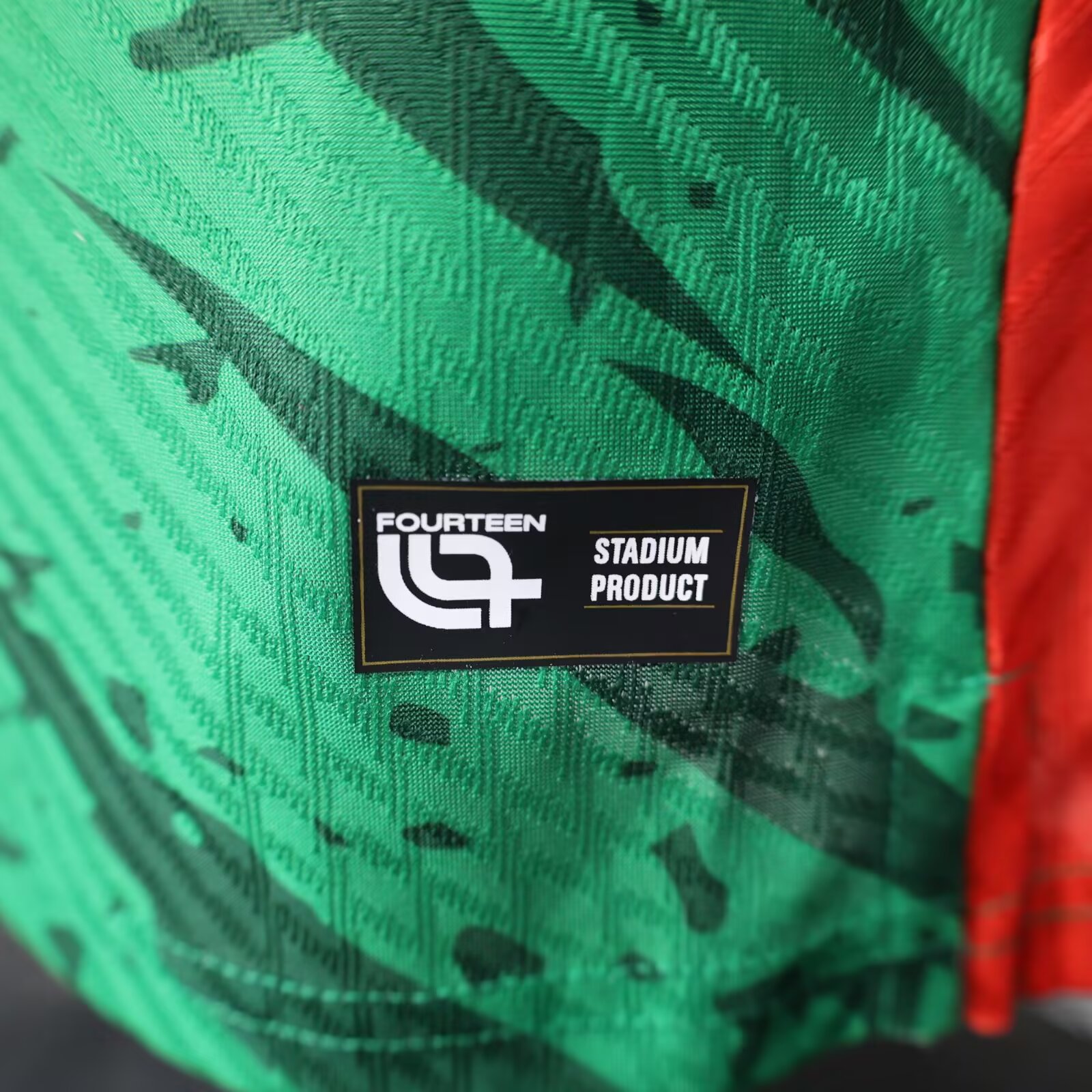 2025/2026 Cameroon Home Football Shirt For Player Version