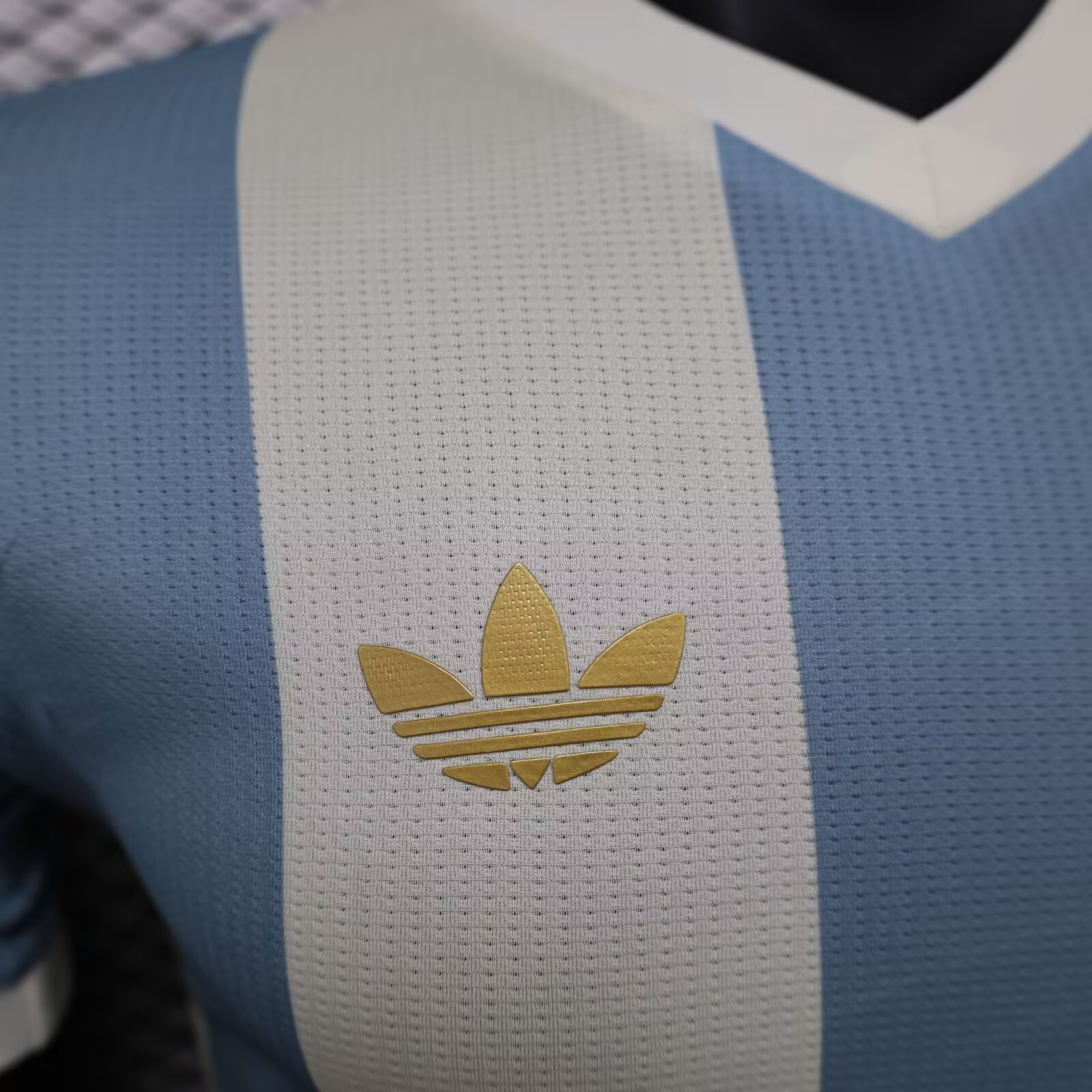 2024/2025 Argentina 50th Anniversary Commemoration Jersey( Player Edition )