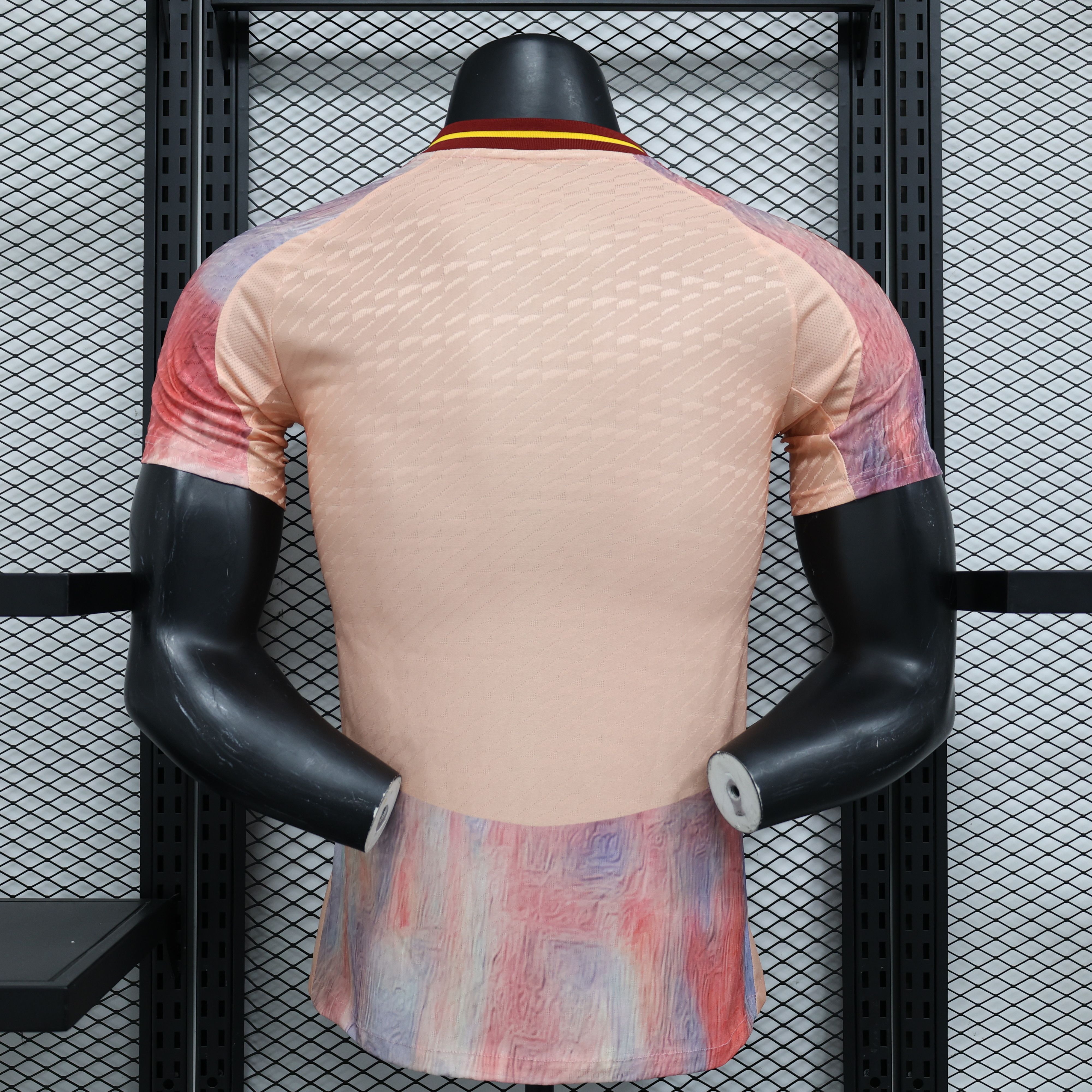 2024/2025 Spain Special Edition Football Jersey( Players Edition )