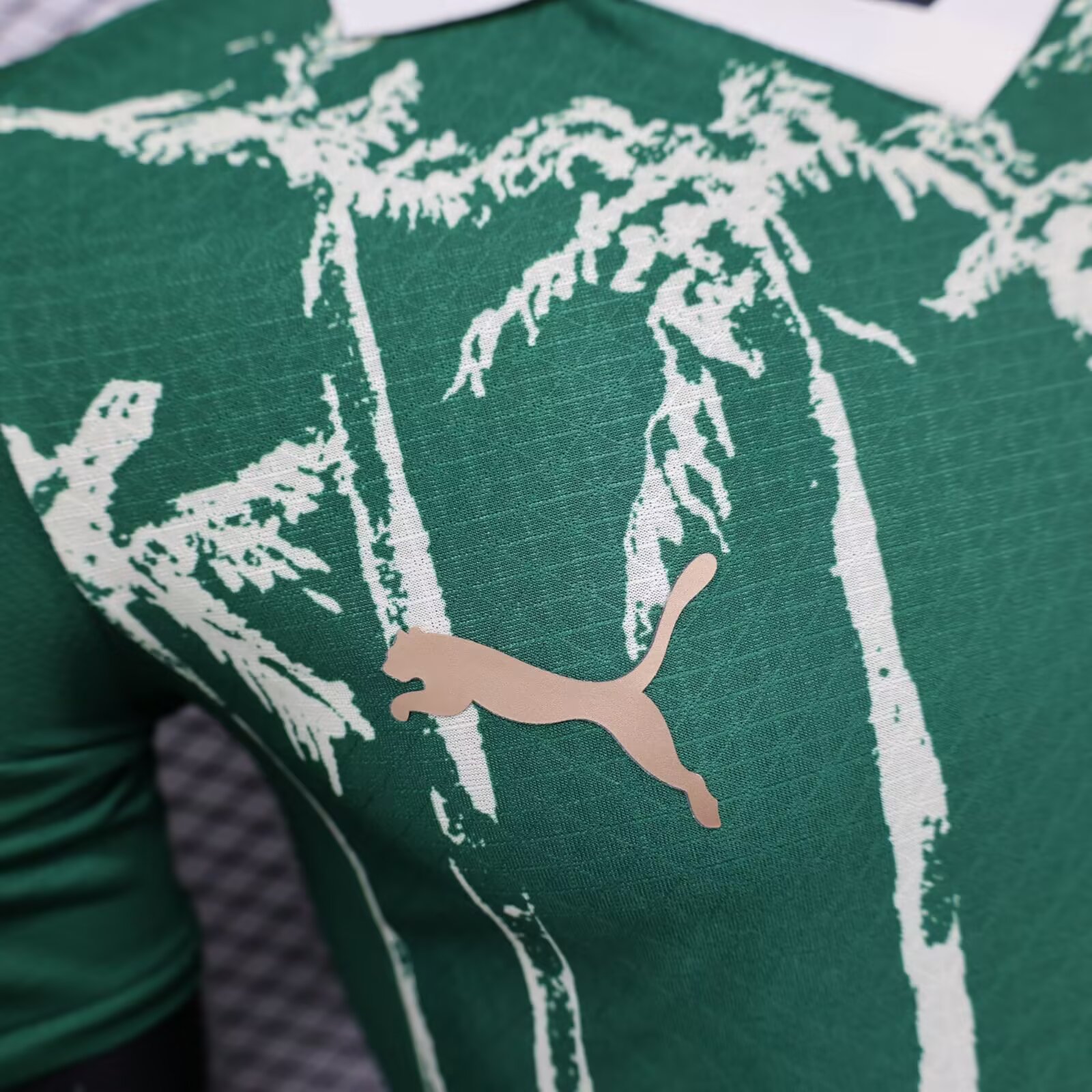 2025/2026 Palmeiras Home Football Shirt(Player Version )