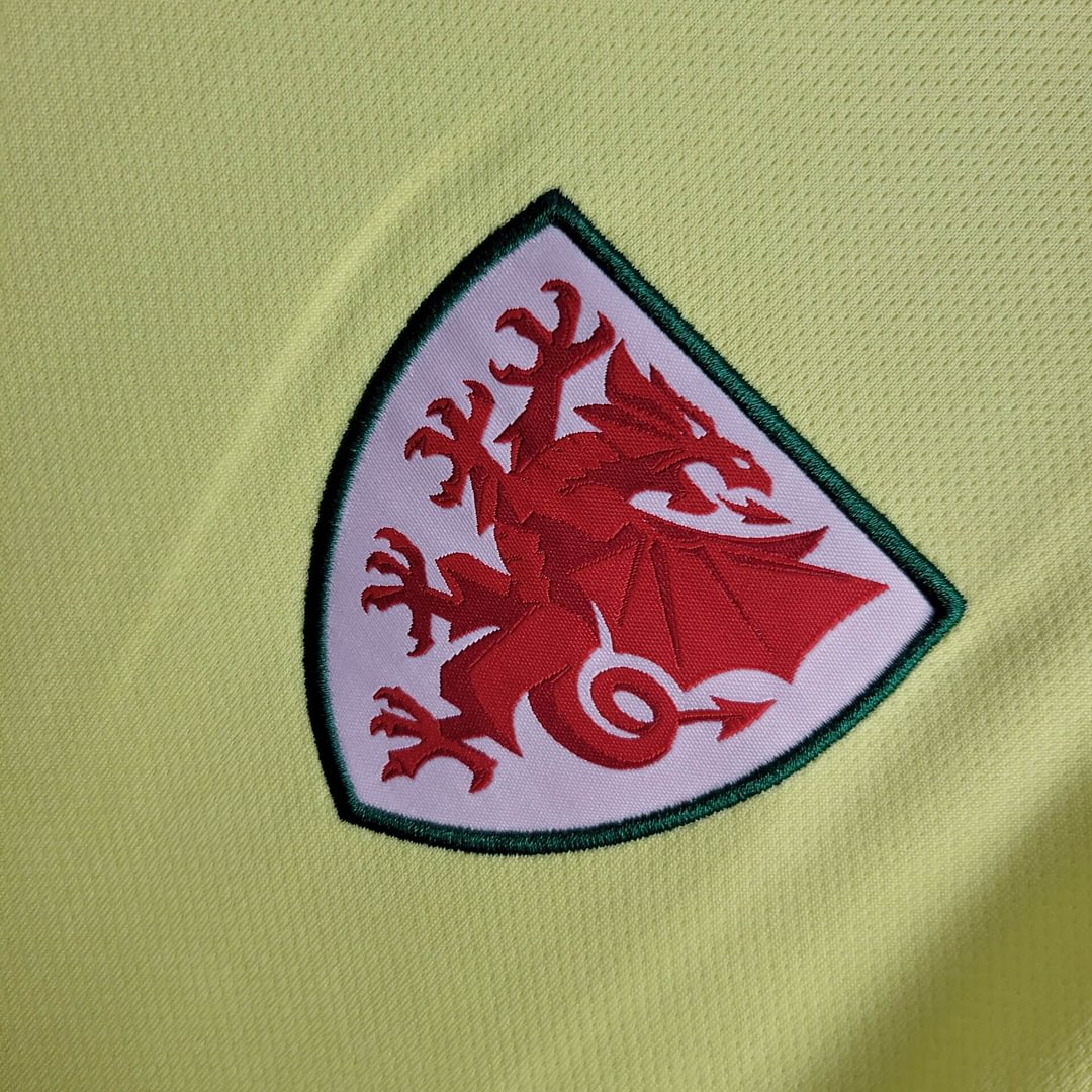 2024 Wales Away Football Shirt( Fans Edition )