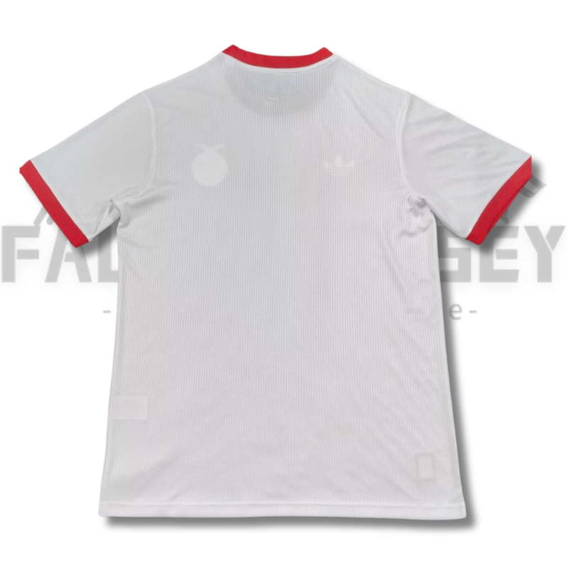 2025/2026 Benfica Special Jersey(Fans Version)