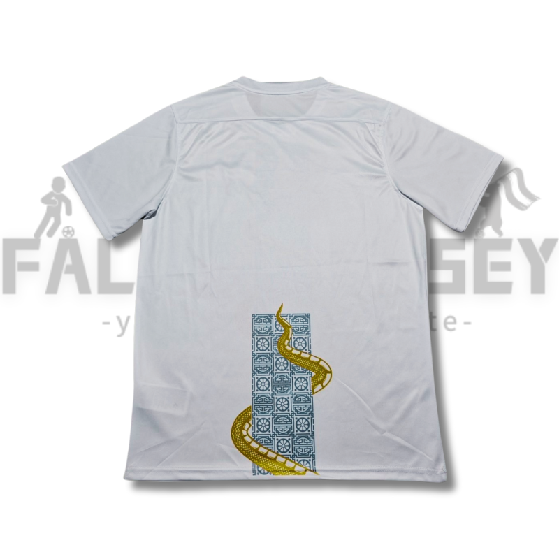 25/26 Tottenham Hotspur Special Jersey(Fans version)