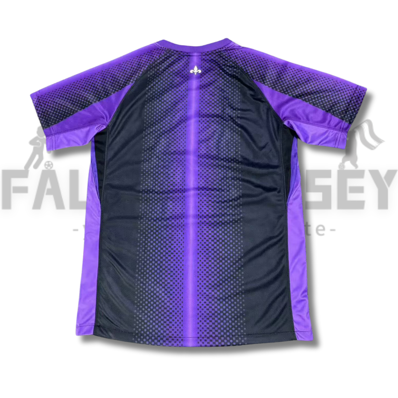 25/26 Paris Saint-Germain Purple Special Jersey(Fans version)