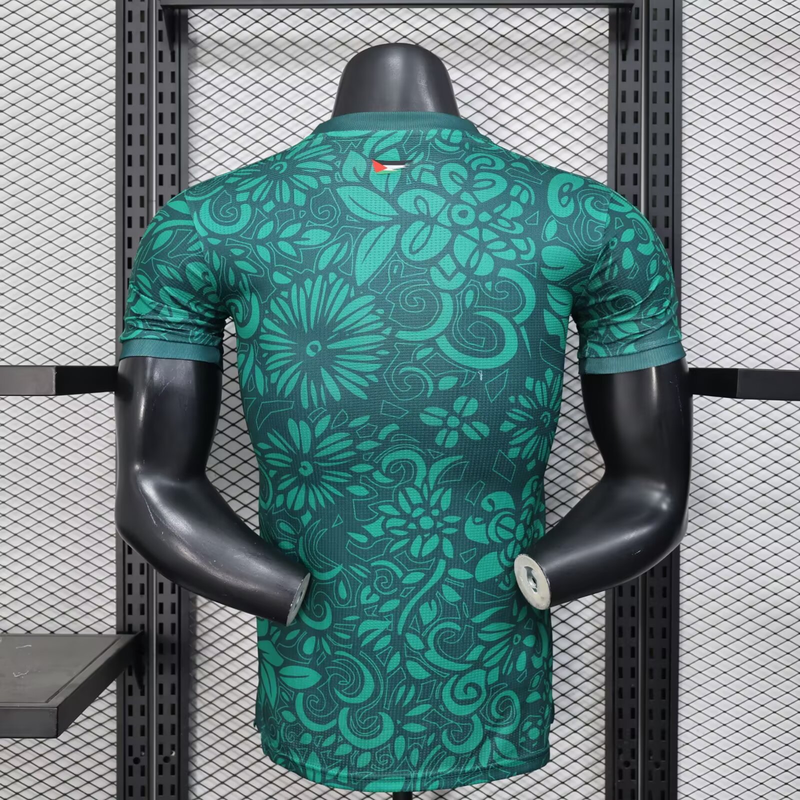 2025/2026 Palestine Green Pre match training uniform Jersey( Player Edition )