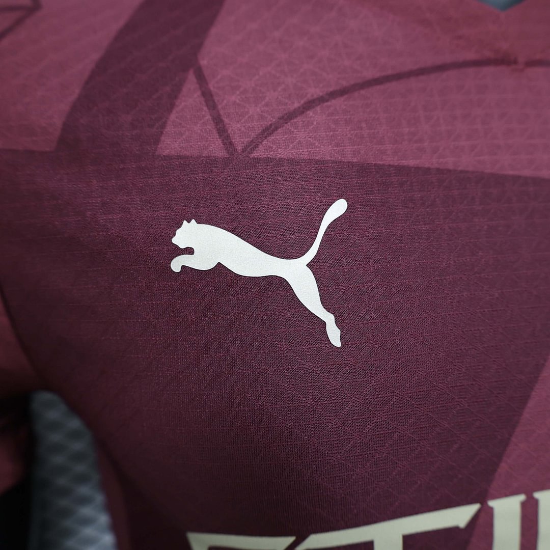 2024/2025 Manchester City Third Away Football Shirt For Player Version