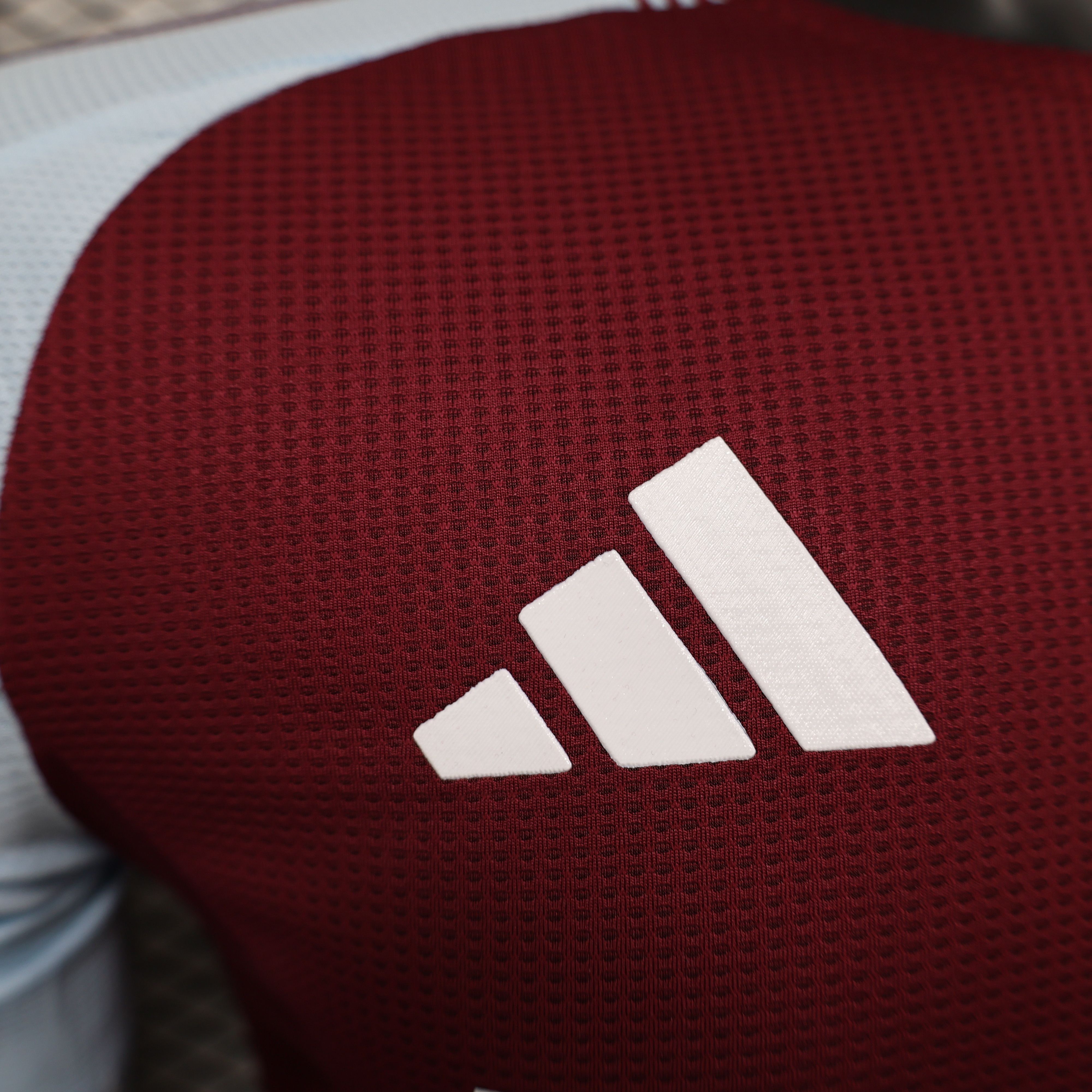 2024/2025 Aston Villa Home Football Jersey(Players Edition )