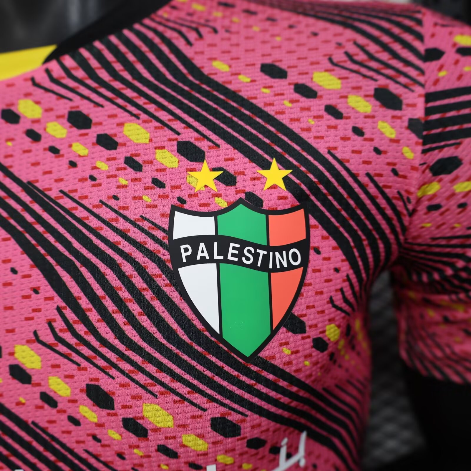 2025/2026 Palestine Special Edition Football Shirt( Player Edition )