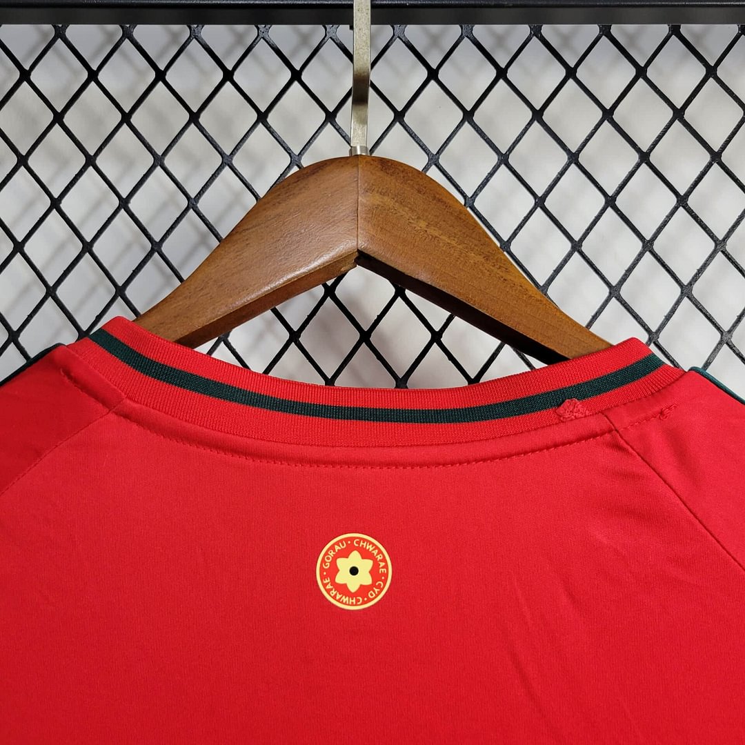 2024 Wales Home Football Shirt( Fans Edition )