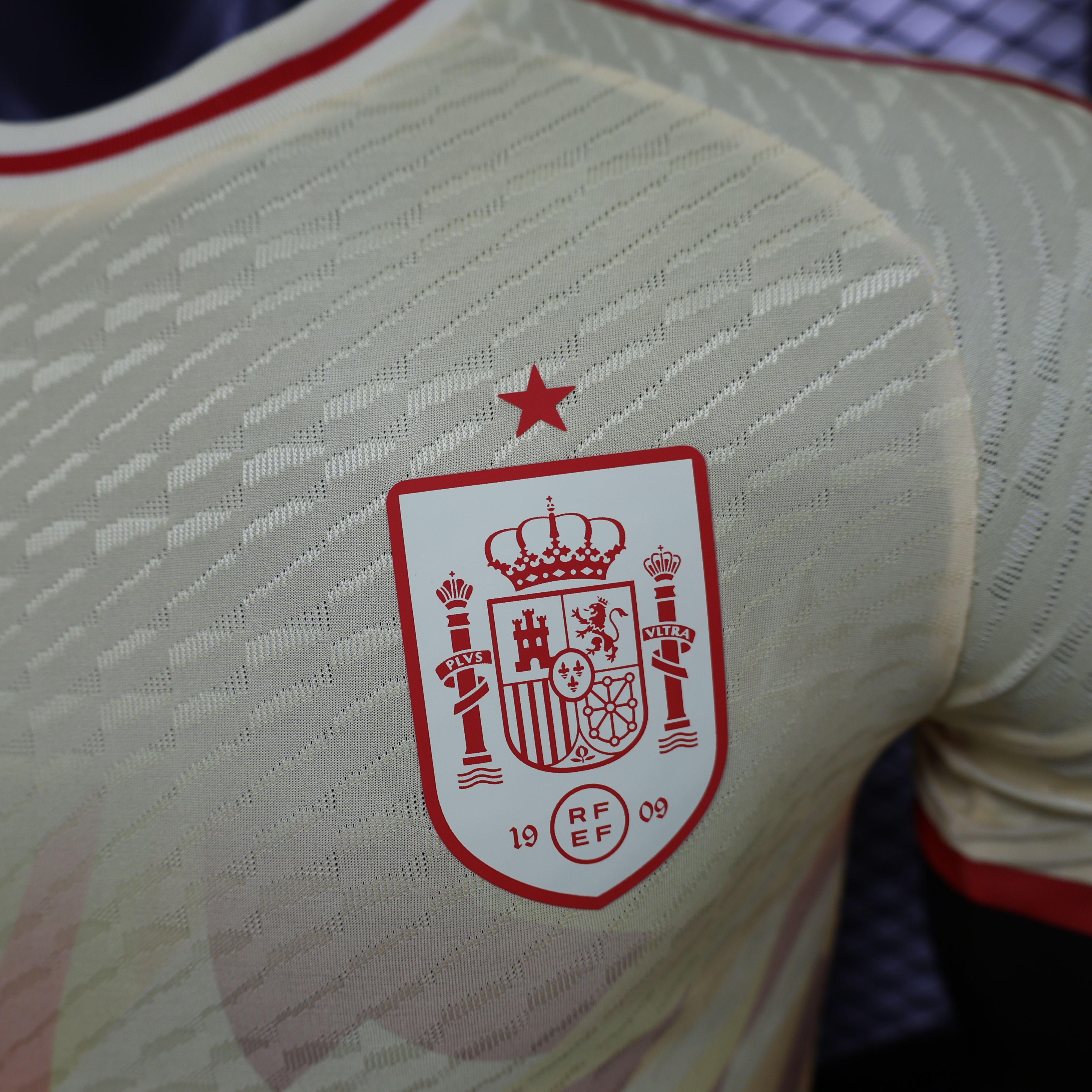 2024/2025 Spain Special Edition Football Jerseys( Players Edition)