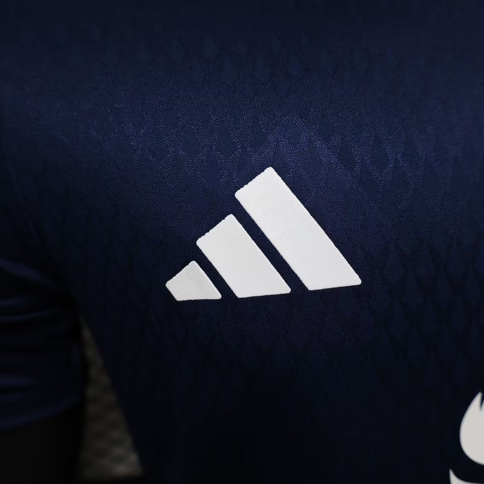 2024/2025 Manchester United royal blue Special Edition Football Jersey For Player Version