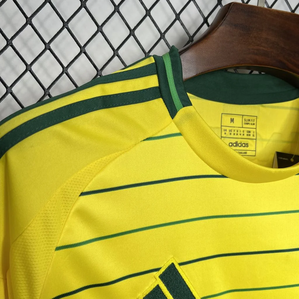 2024/2025 Celtic Away Football Shirt( Fans Edition )