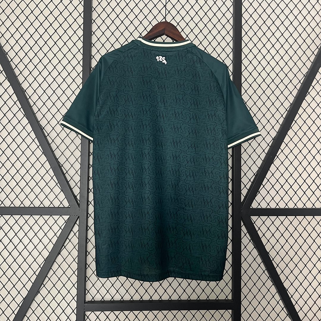 2024/2025 Werder Bremen Football Shirt(Fan version)