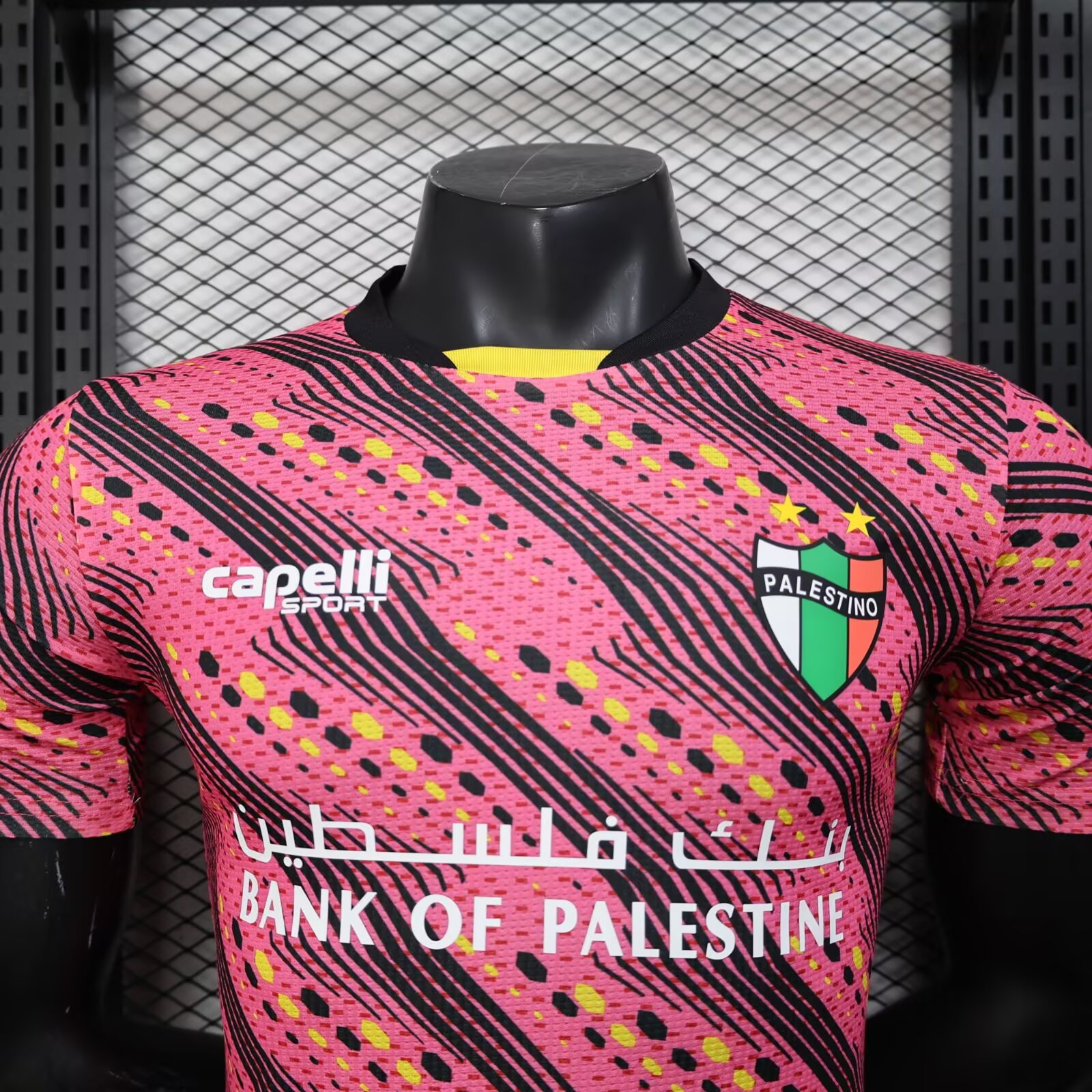 2025/2026 Palestine Special Edition Football Shirt( Player Edition )