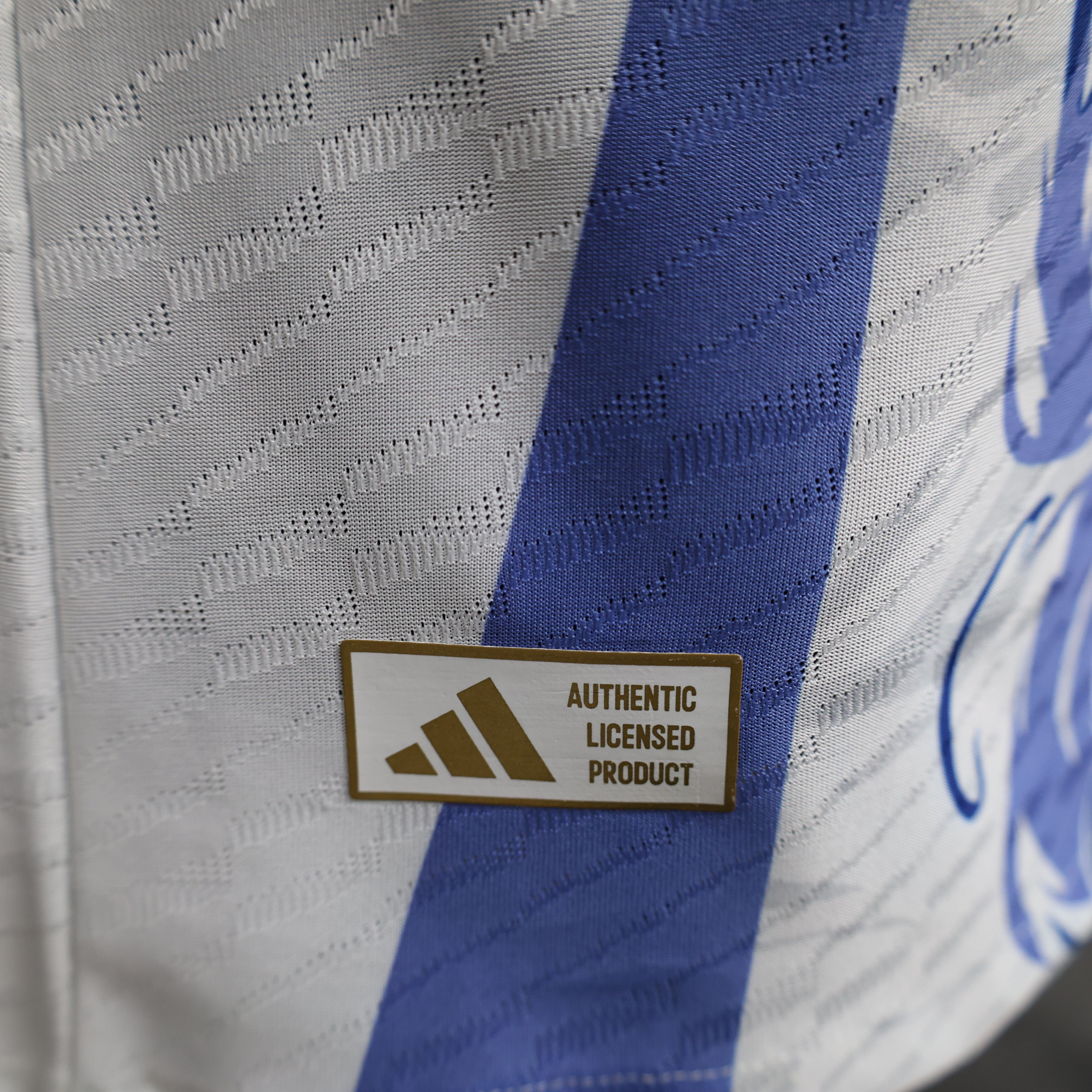 2024/2025 Japan Blue Dragons Special Edition Football Jersey for Players Edition
