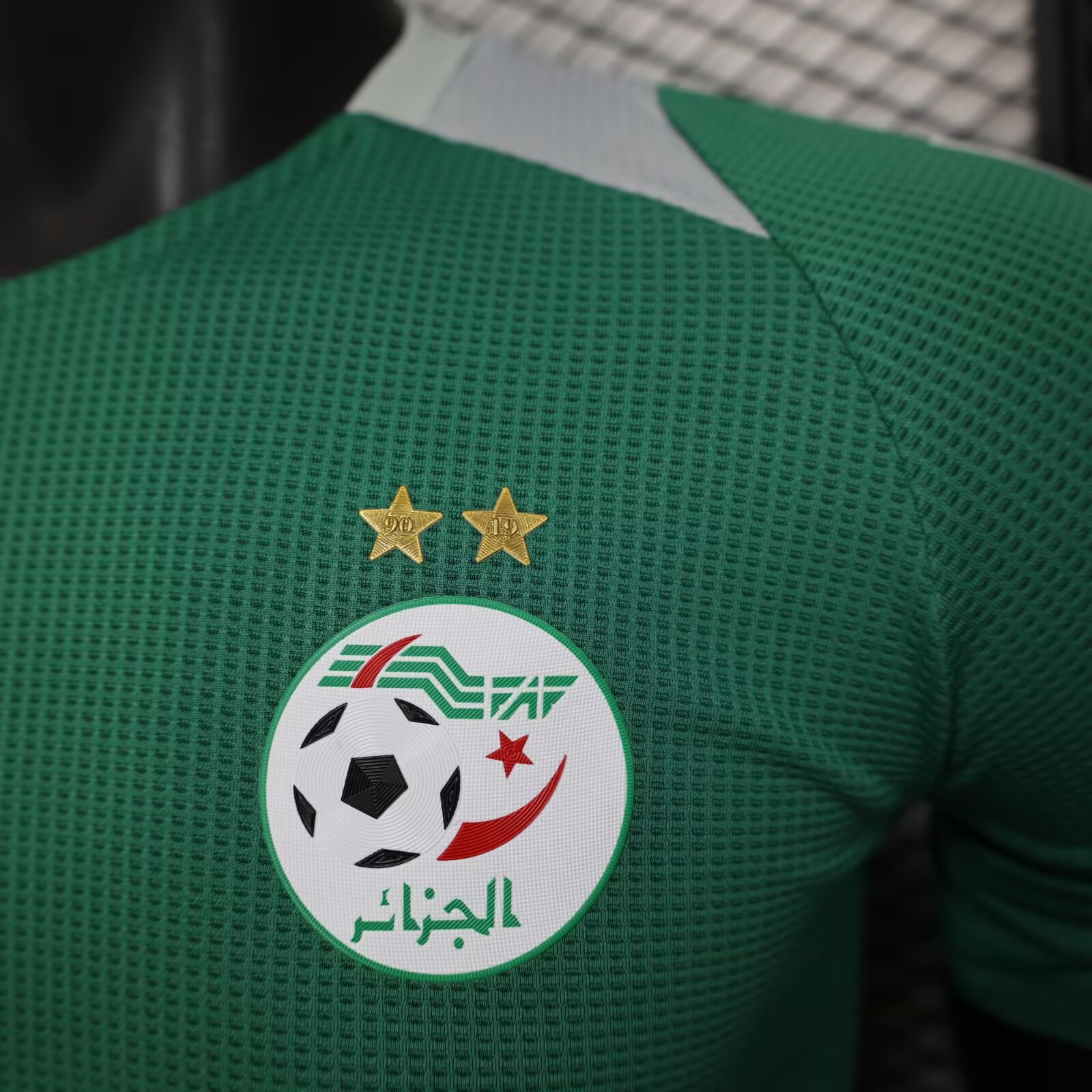 2025/2026 Algeria Green Football Jersey( Player Edition)