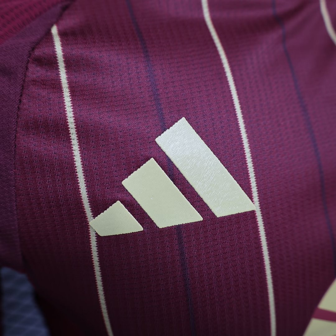 2024/2025 AS Roma Home Football Shirt(Player Version )