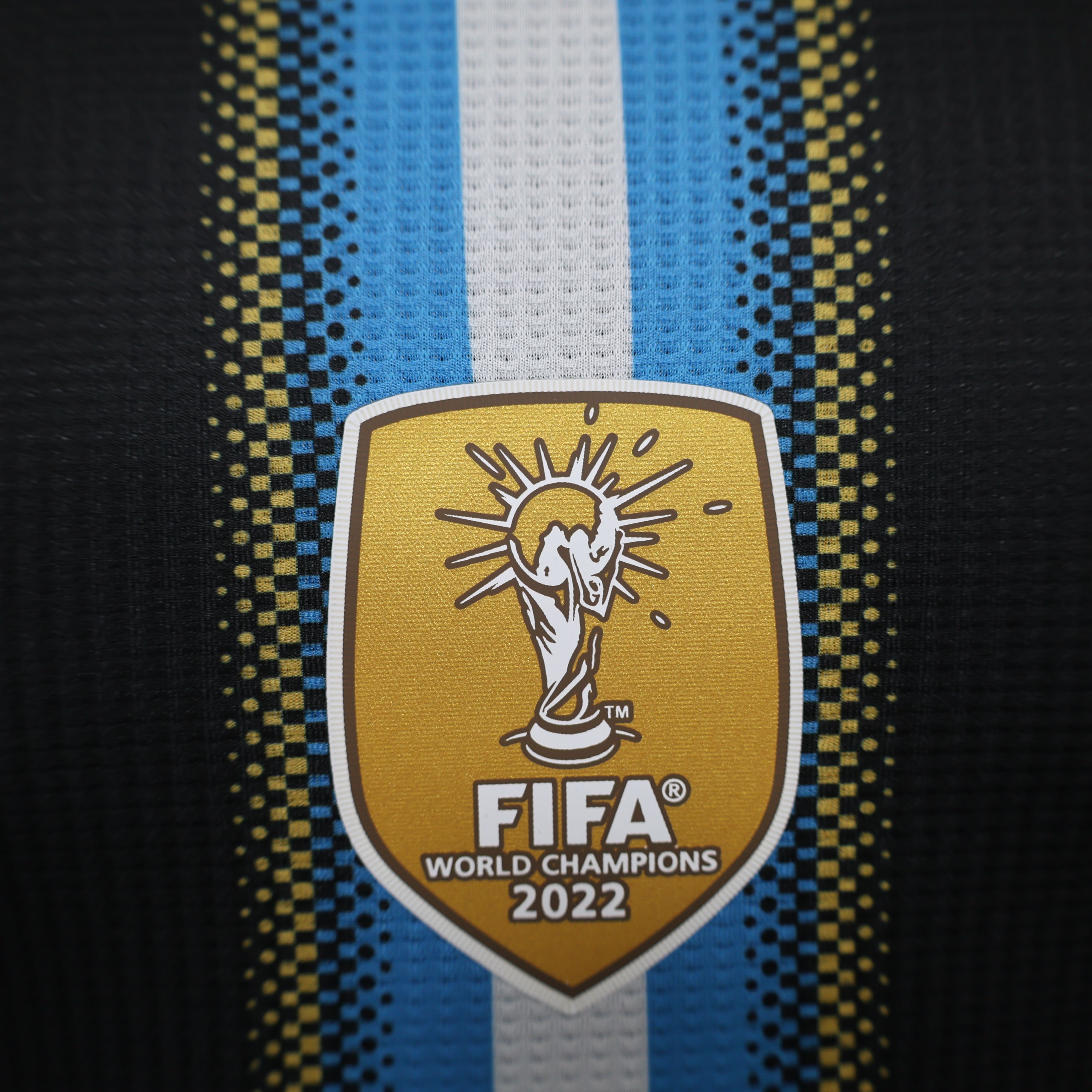 2024/2025 Player Edition Argentina Special Edition Football Jersey