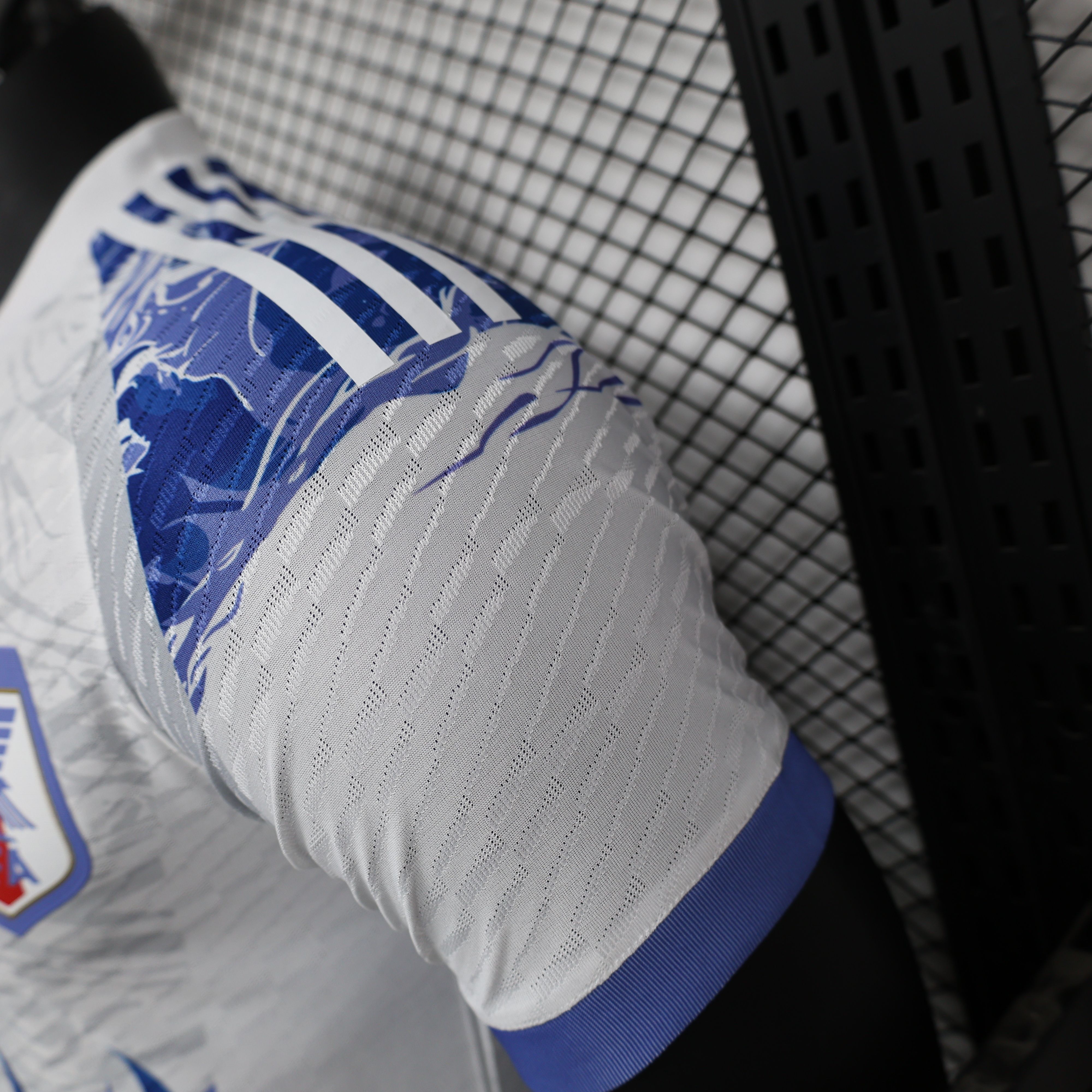 2024/2025 Japan Blue Dragons Special Edition Football Jersey for Players Edition