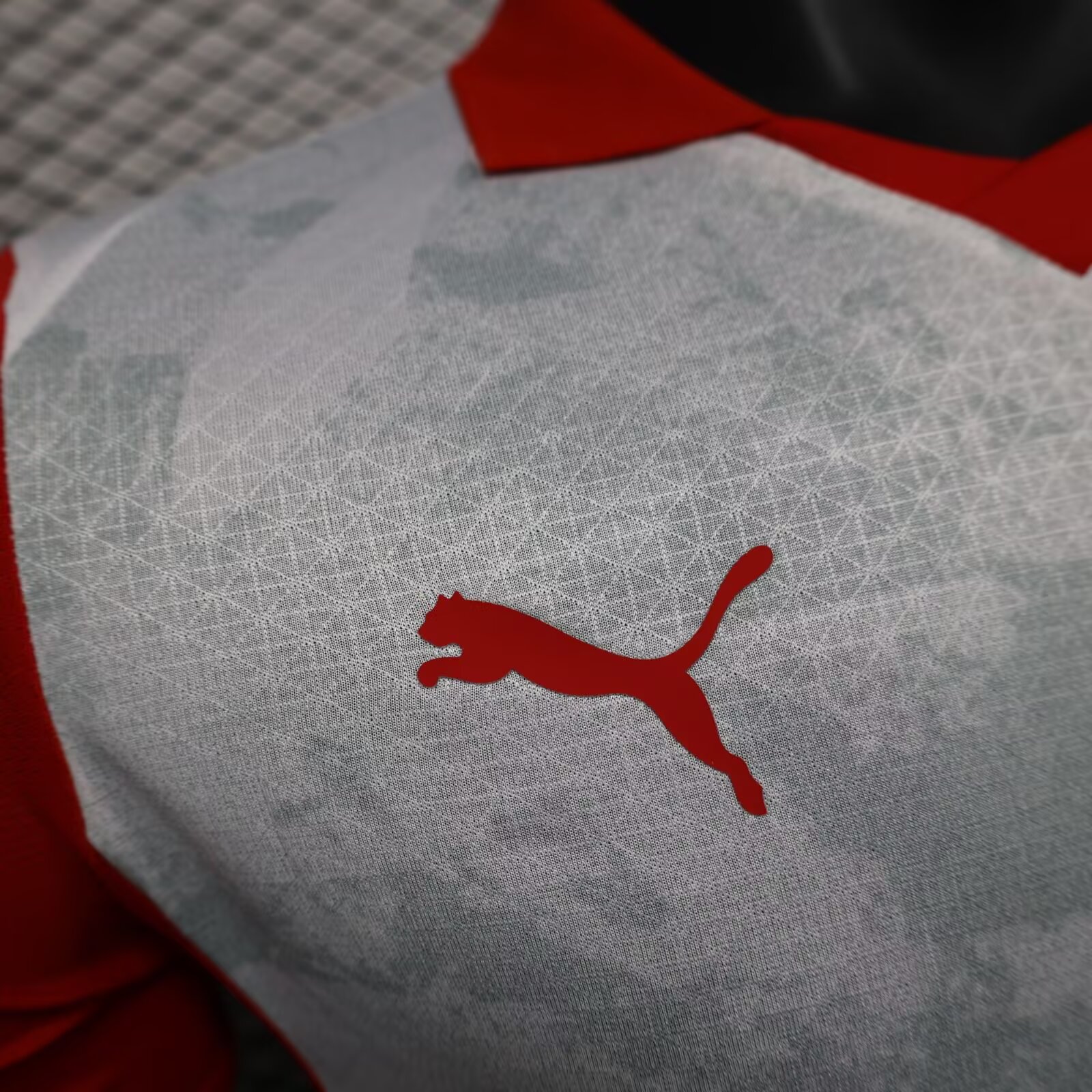 2025/2026 Red Bull Salzburg Home Shirt(Player Version)