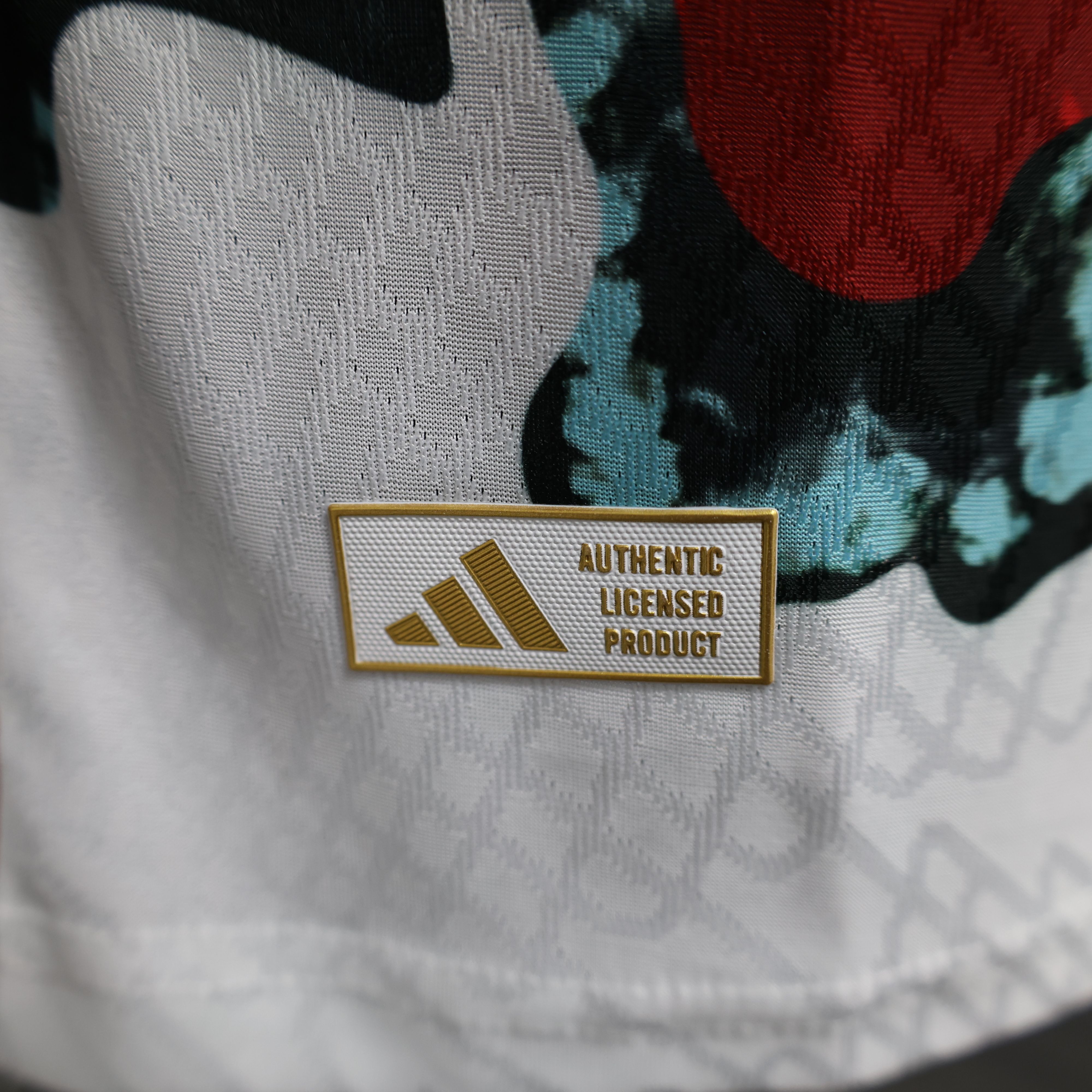 2024/2025 Bayern Special Edition Football Jersey For Player Version