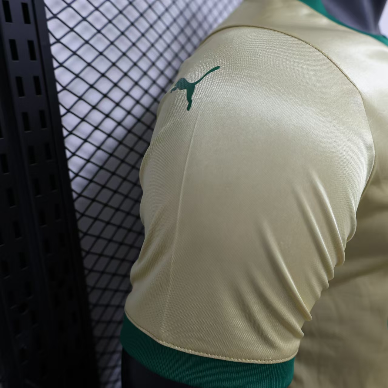 2024/2025 Palmeiras Anniversary Edition Jersey(Player Edition)