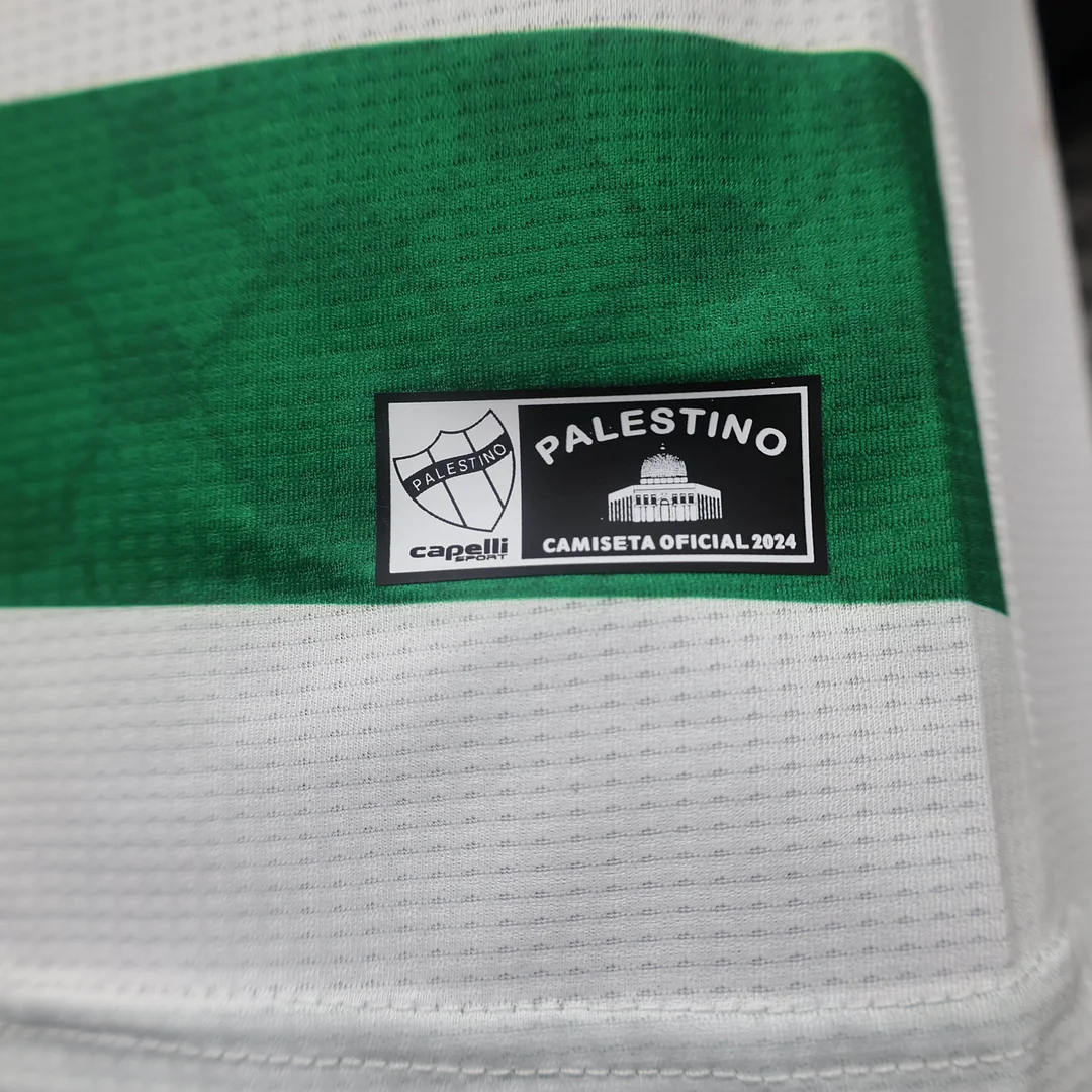 2024/2025 Player Version Club Deportivo Palestino Third Away Football Shirt