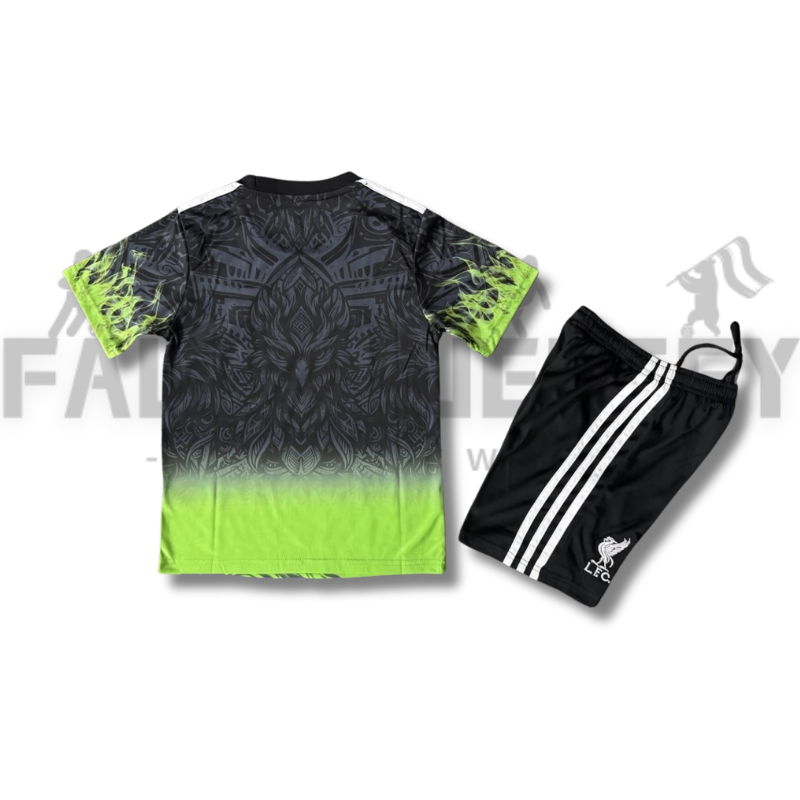 2025/2026 Liverpool Special Version Football Shirt(For Kids)