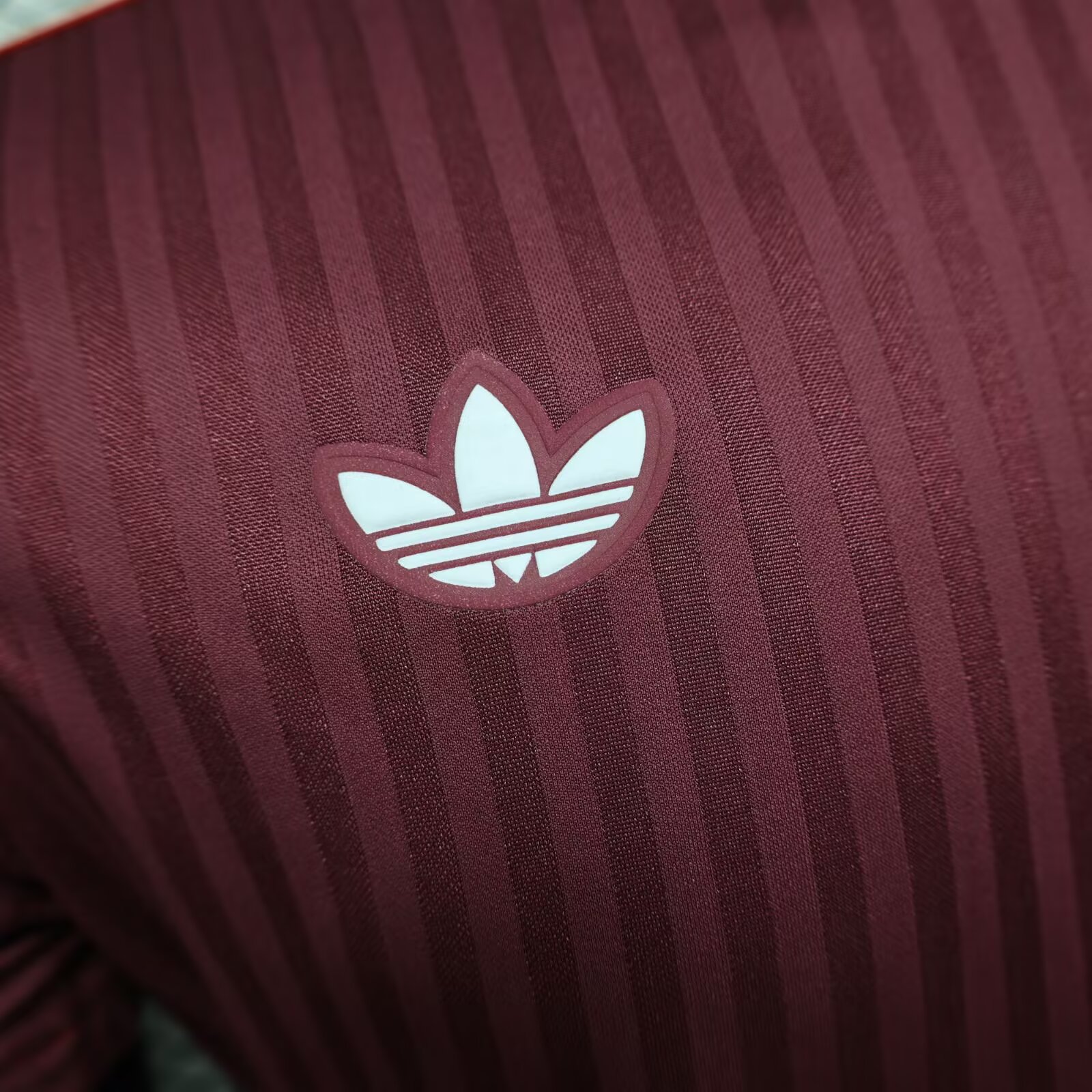 2024/2025 Bayern Munchen Special Edition Football Jersey For Player Version