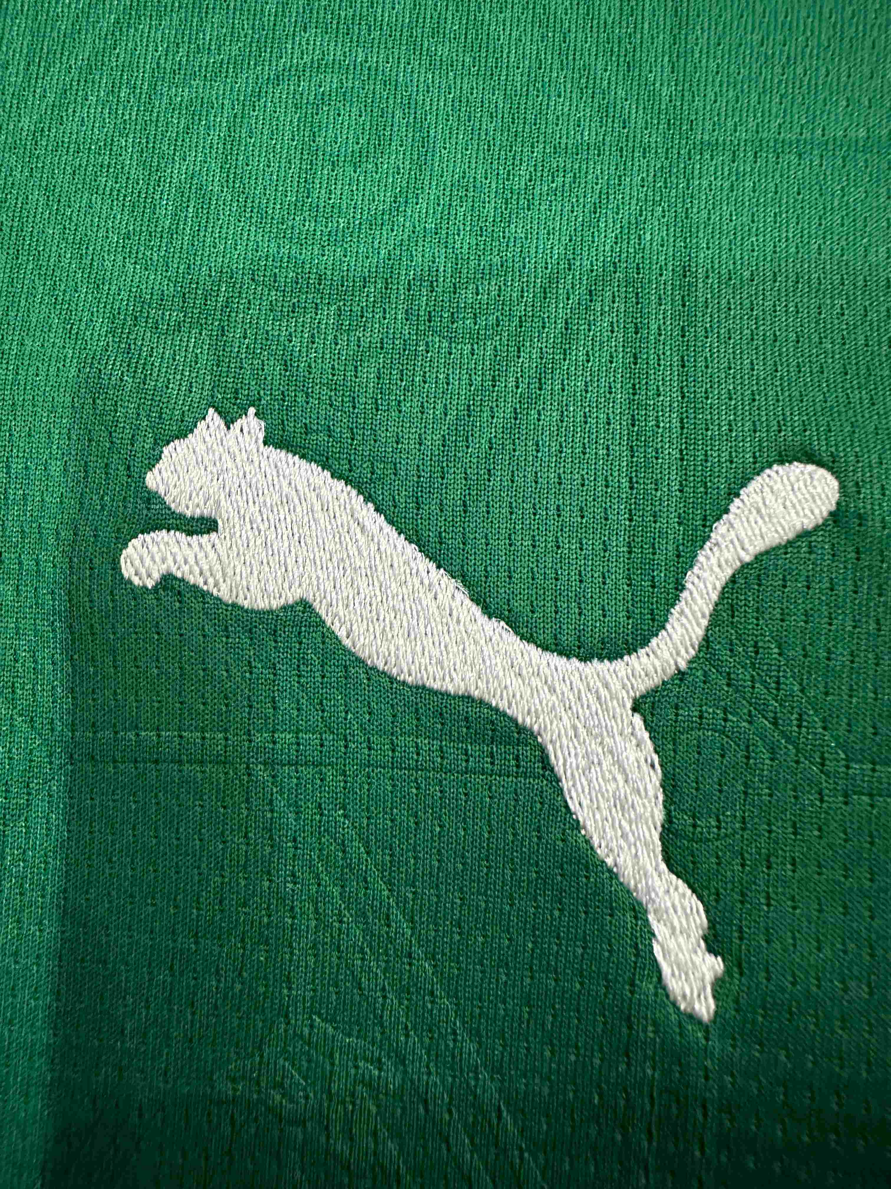 25/26 Palmeiras Home Football Shirt(Fans version)