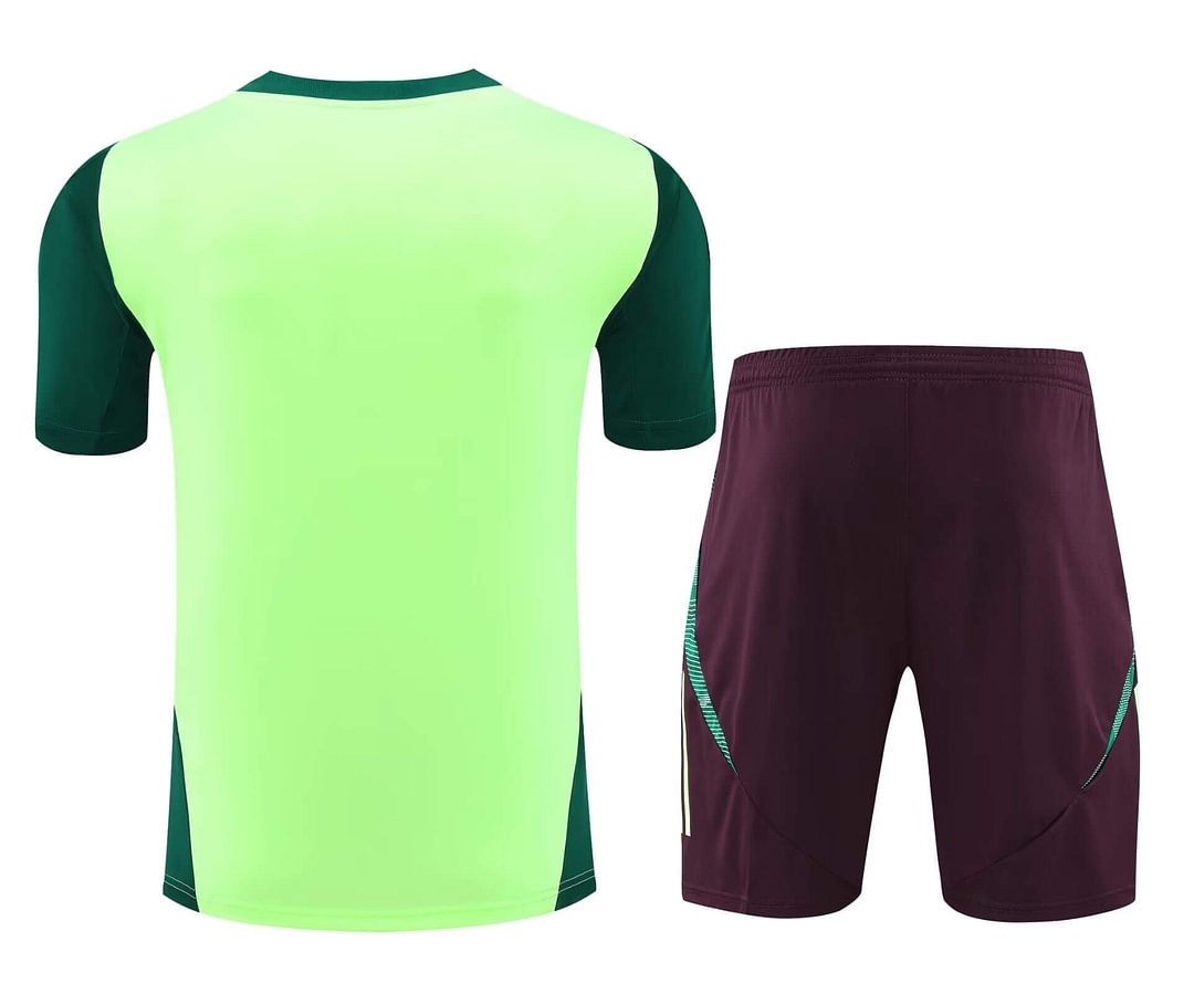 2024/2025 Mexico Training Wear Green Suit Shirt