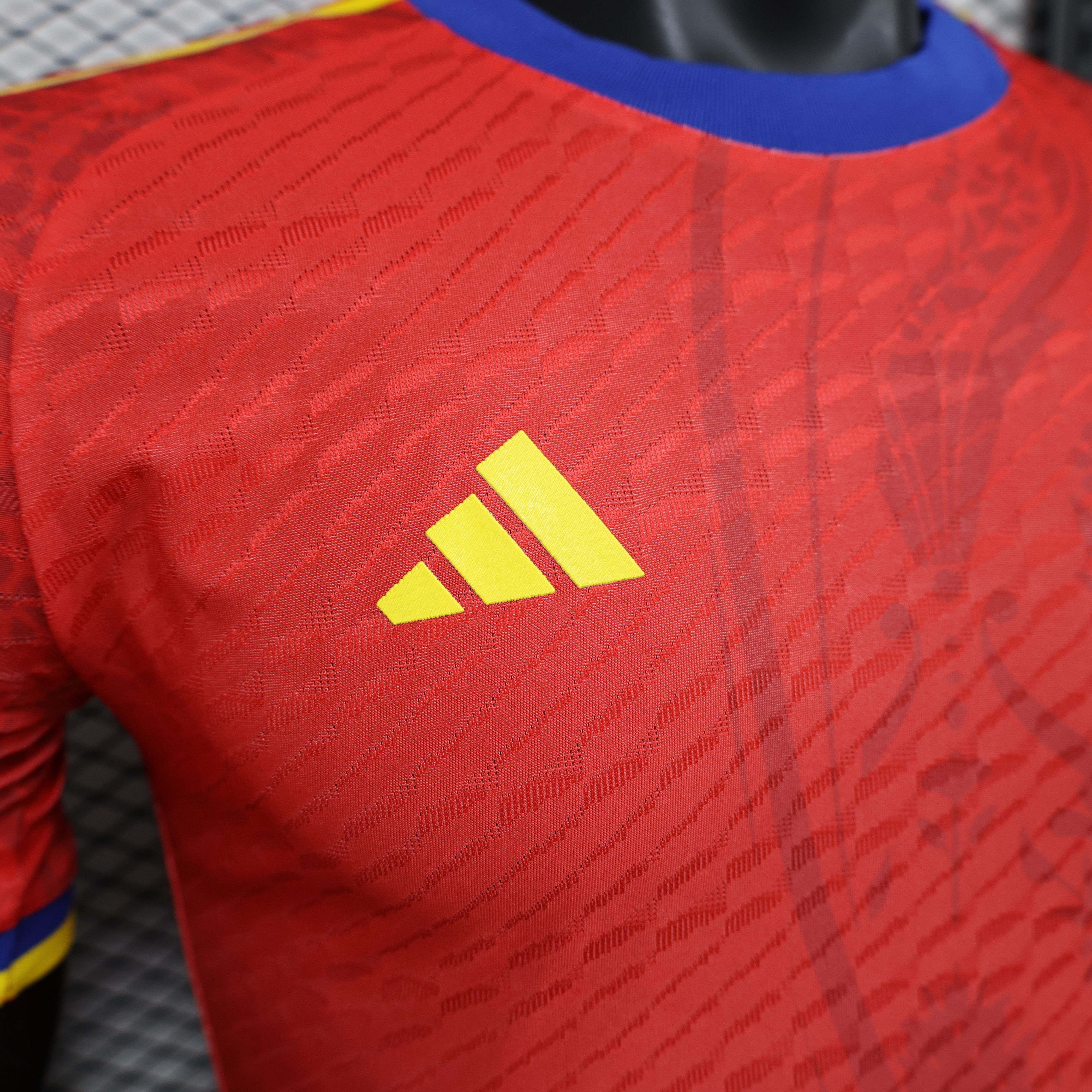2024/2025 Spain Special Edition Football Jersey(Players Edition )