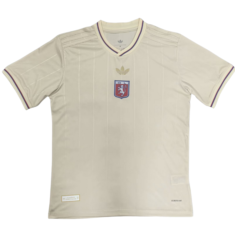 25/26 Lyonnais Anniversary Edition Jersey(Fans version)