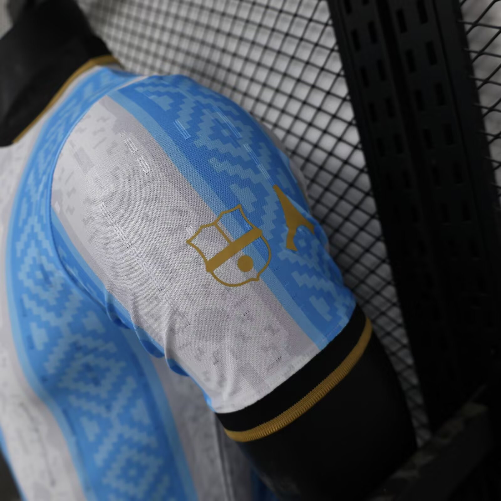 2024/2025 Argentina Special Edition Football Jersey
