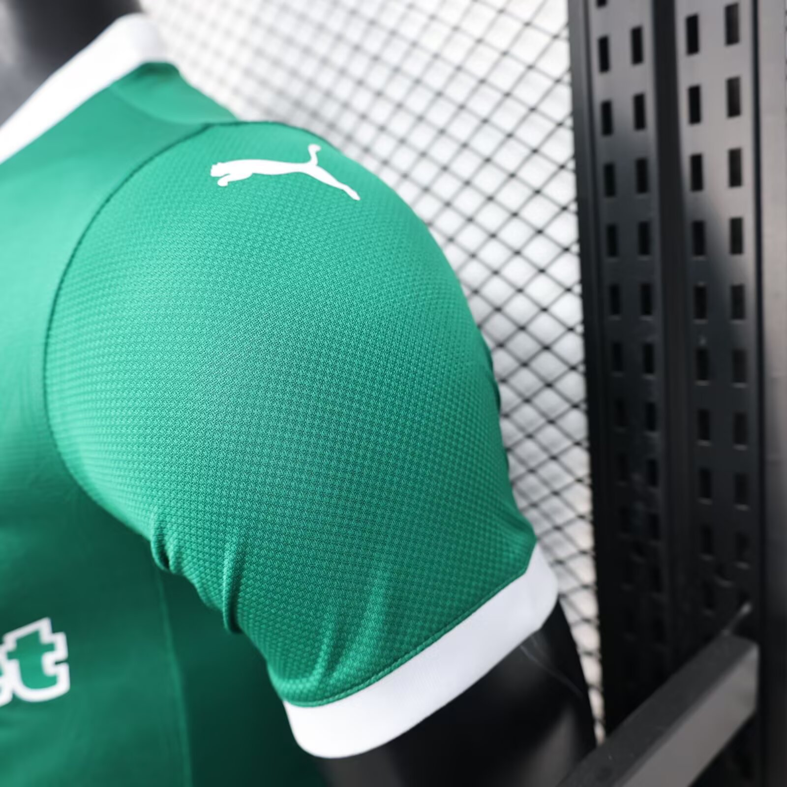 2025/2026 Palmeiras Home Football Shirt(Player Version)