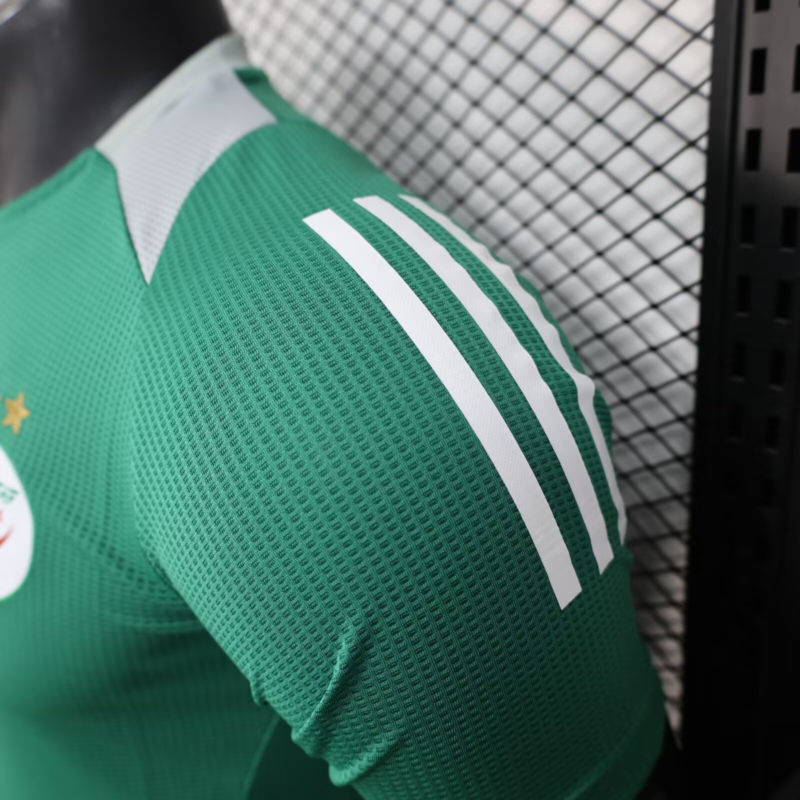 2025/2026 Algeria Green Football Jersey( Player Edition)