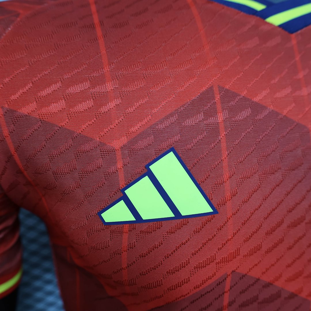 2024 Spain Special Edition Football Shirt( Player Edition )