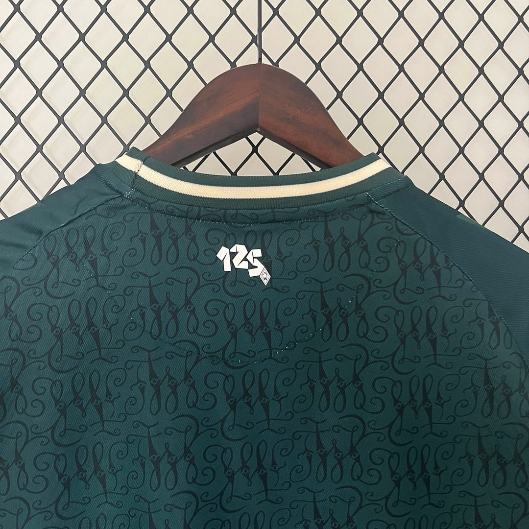 2024/2025 Werder Bremen Football Shirt(Fan version)