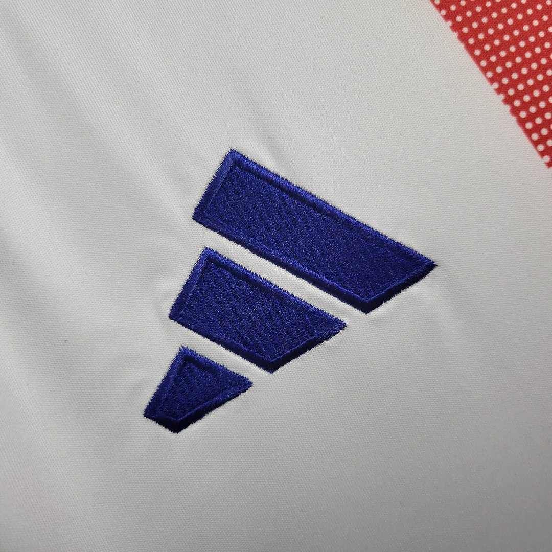 2024/2025 Lyonnais Home Football Shirt(Fans version)