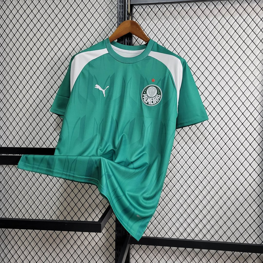 2024/2025 Palmeiras Training Wear Football Shirt( Fans Edition )
