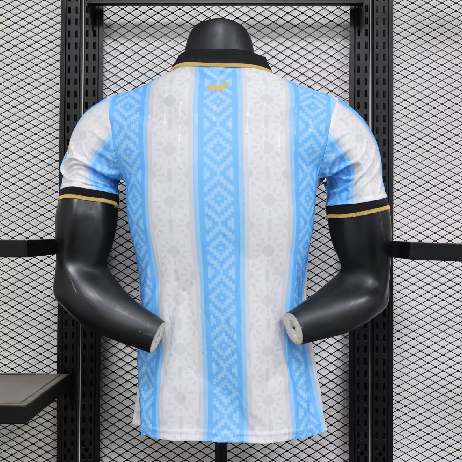 2024/2025 Argentina Special Edition Football Jersey