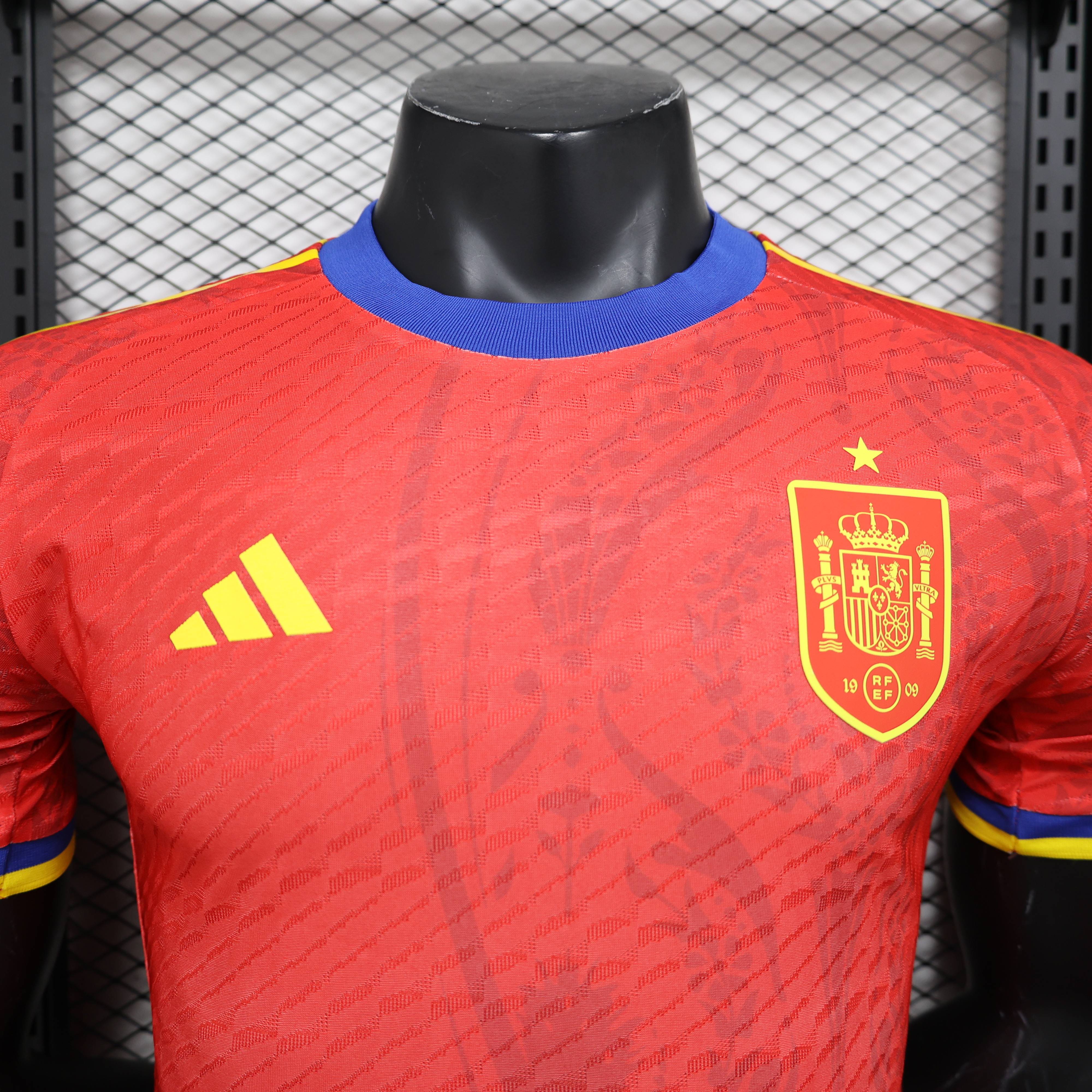 2024/2025 Spain Special Edition Football Jersey(Players Edition )