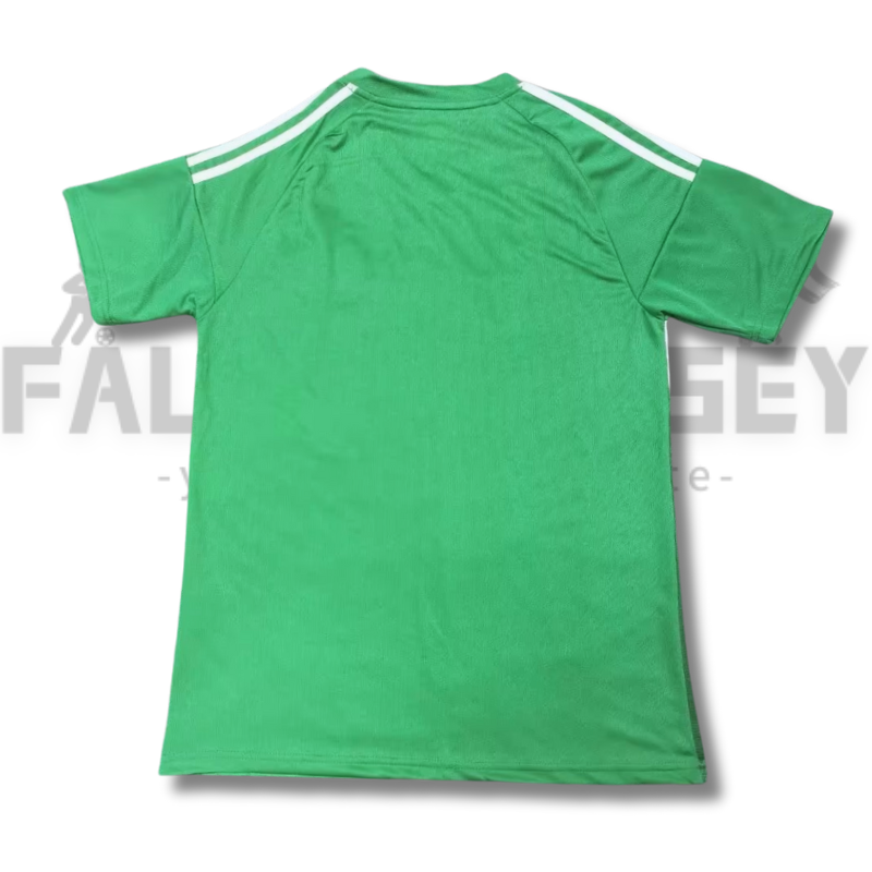 25/26 Newcastle United Away Football Shirt( Fans Edition )