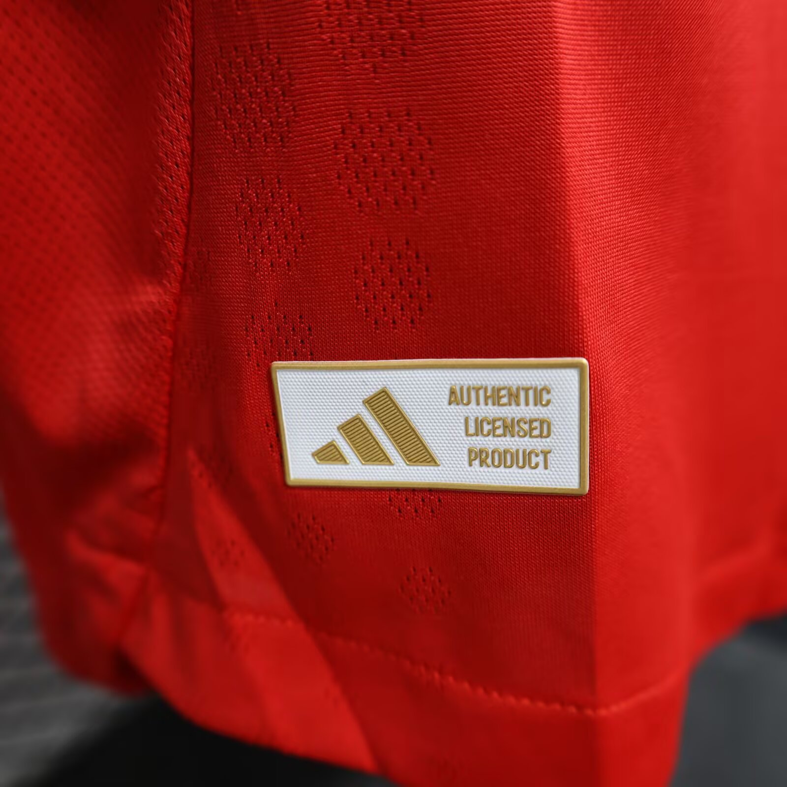 2025/2026 Benfica Home Jersey(Player Version)