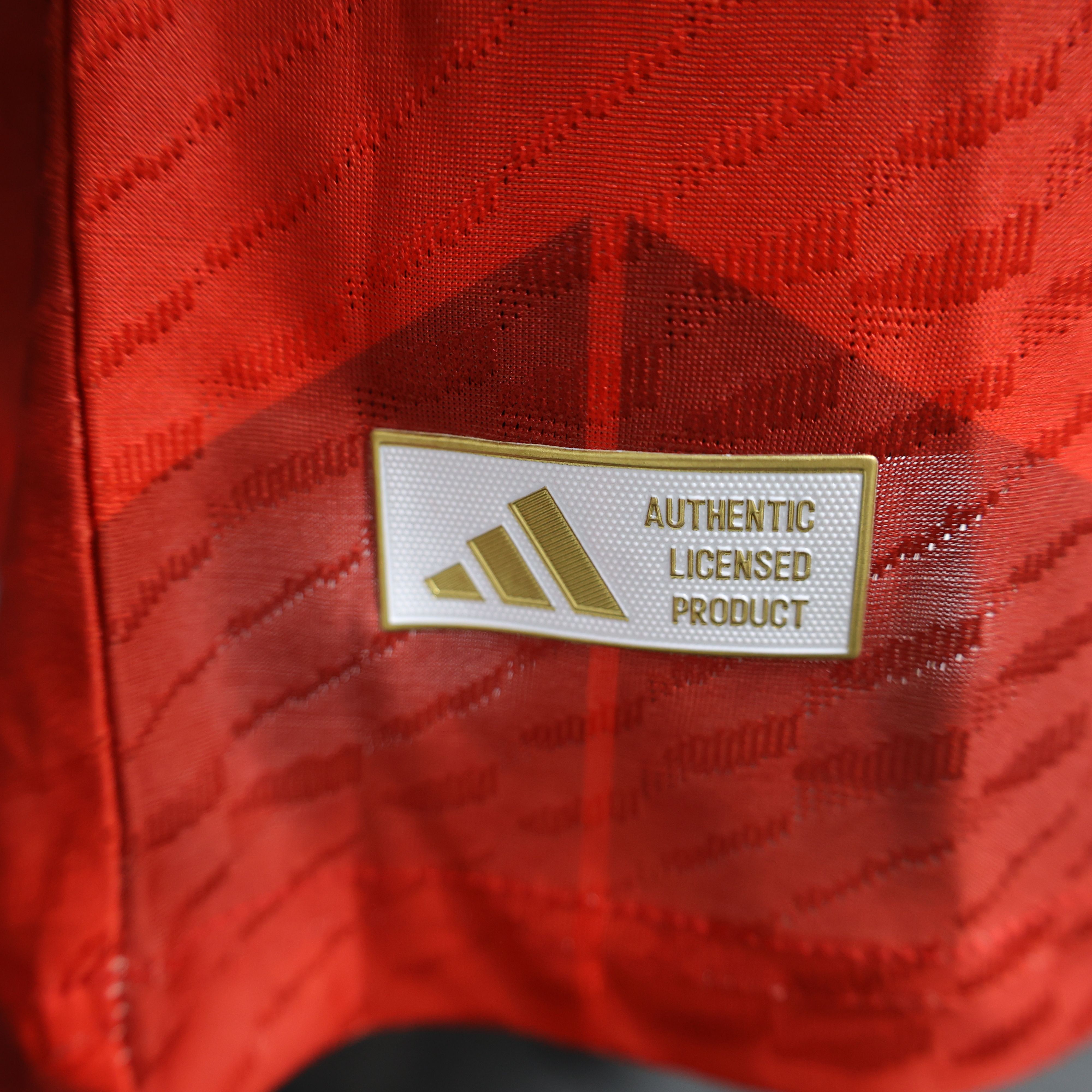 2024/2025 Spain Special Edition Football Jerseys(Players Edition )