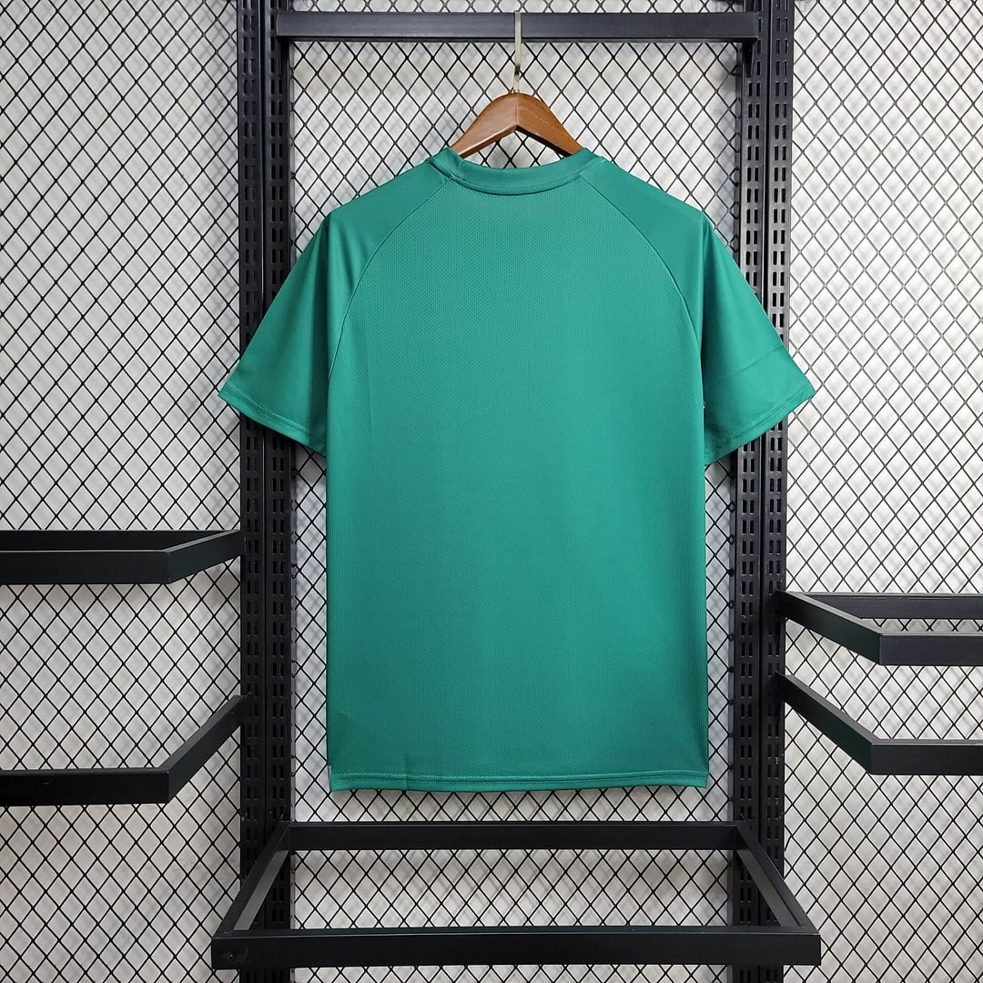 2024/2025 Palmeiras Training Wear Football Shirt( Fans Edition )