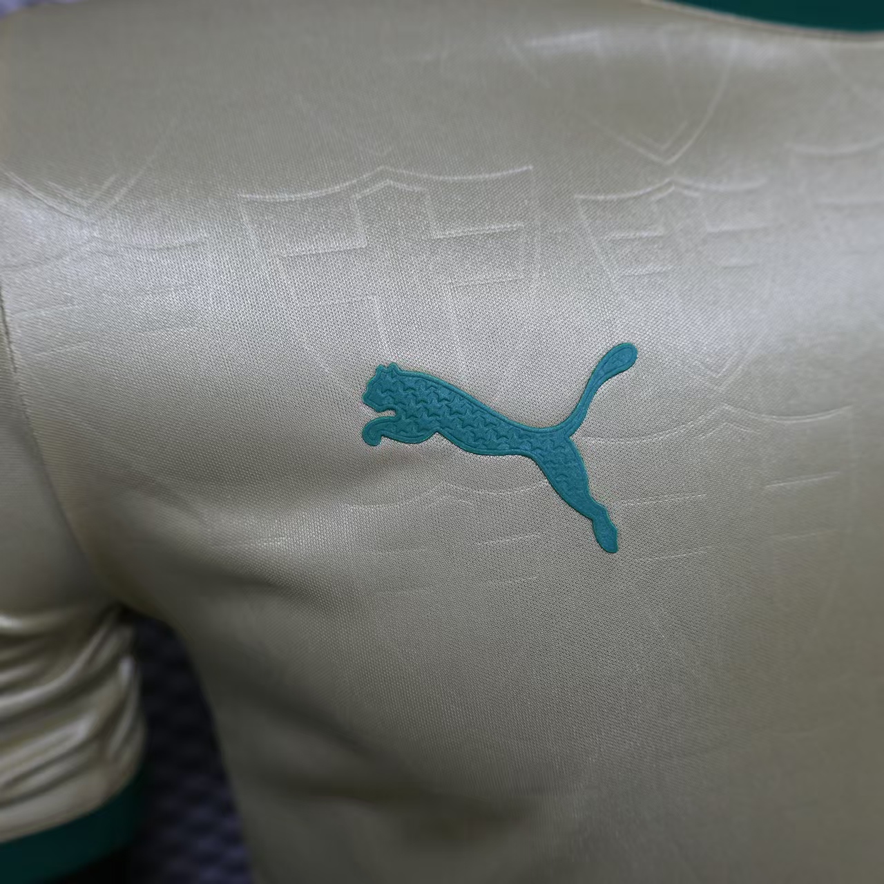 2024/2025 Palmeiras Anniversary Edition Jersey(Player Edition)