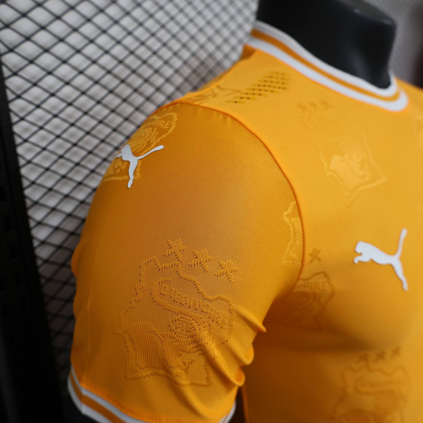 2025/2026 Ivory Coast Special Edition Football Shirt( Player Edition )